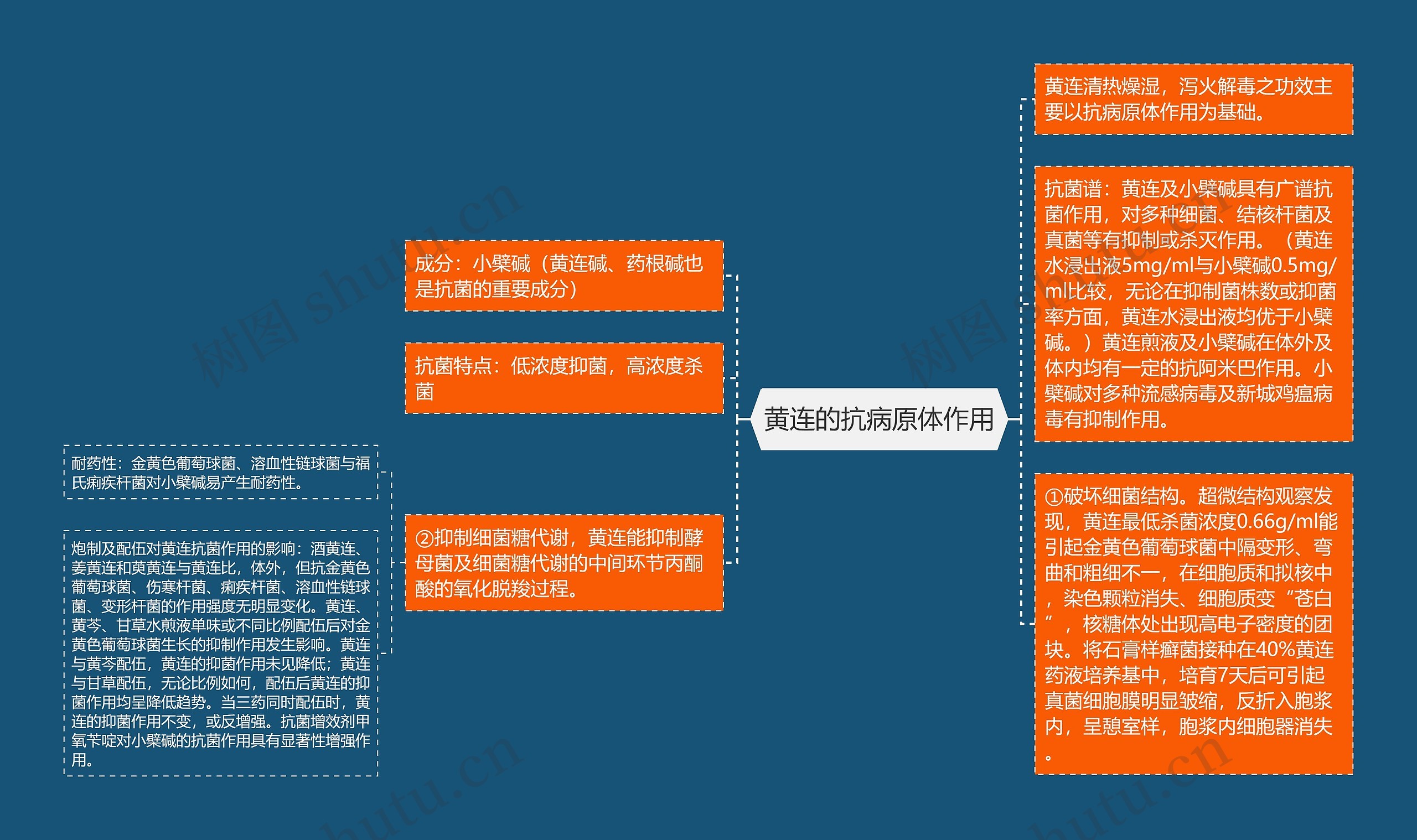 黄连的抗病原体作用思维导图