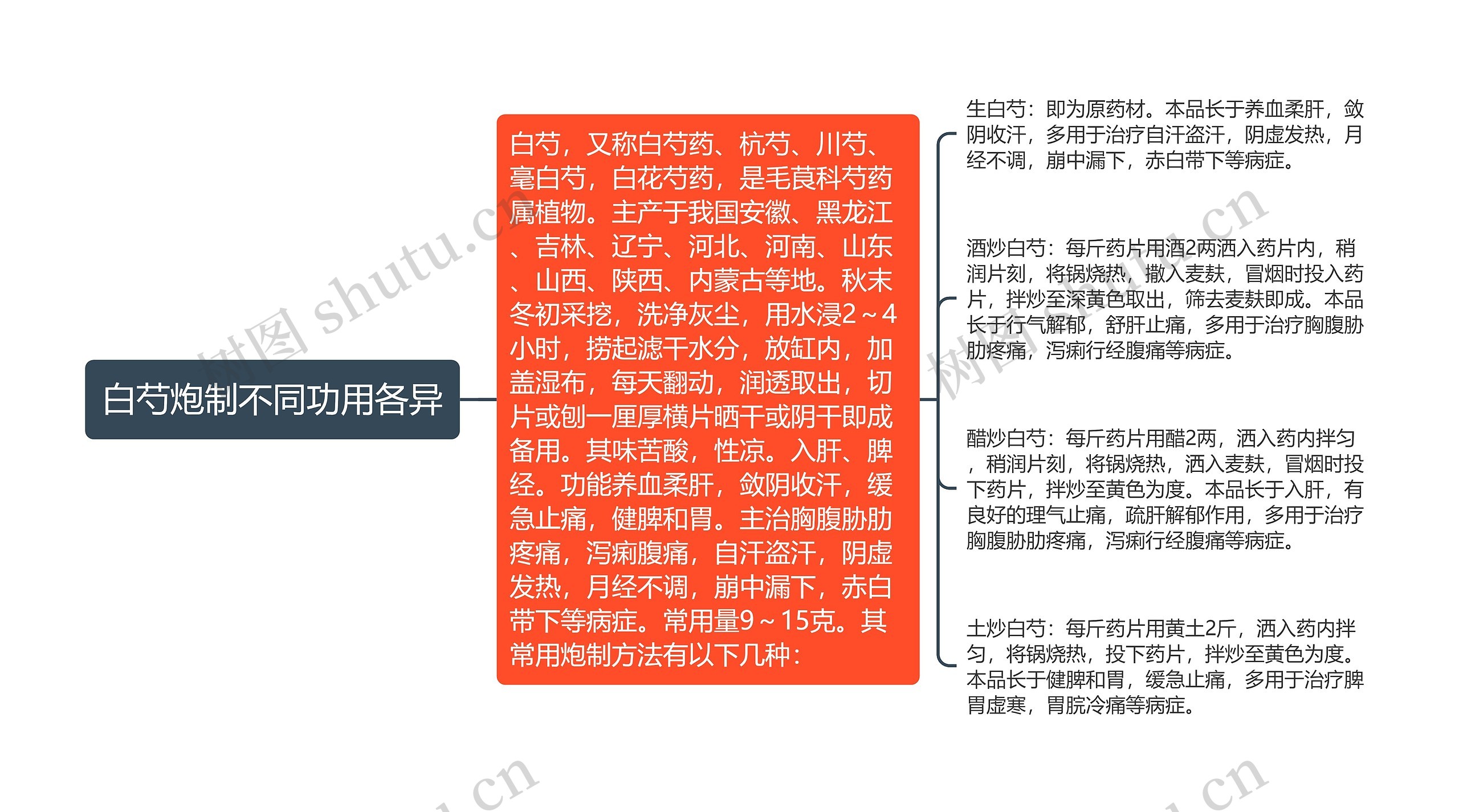 白芍炮制不同功用各异 白芍炮制不同功用各异