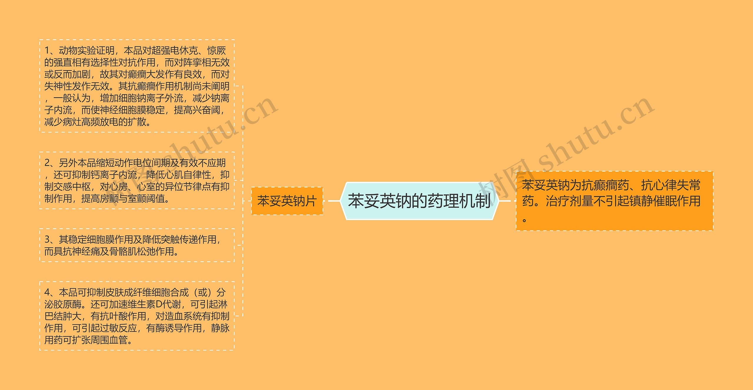 苯妥英钠的药理机制思维导图