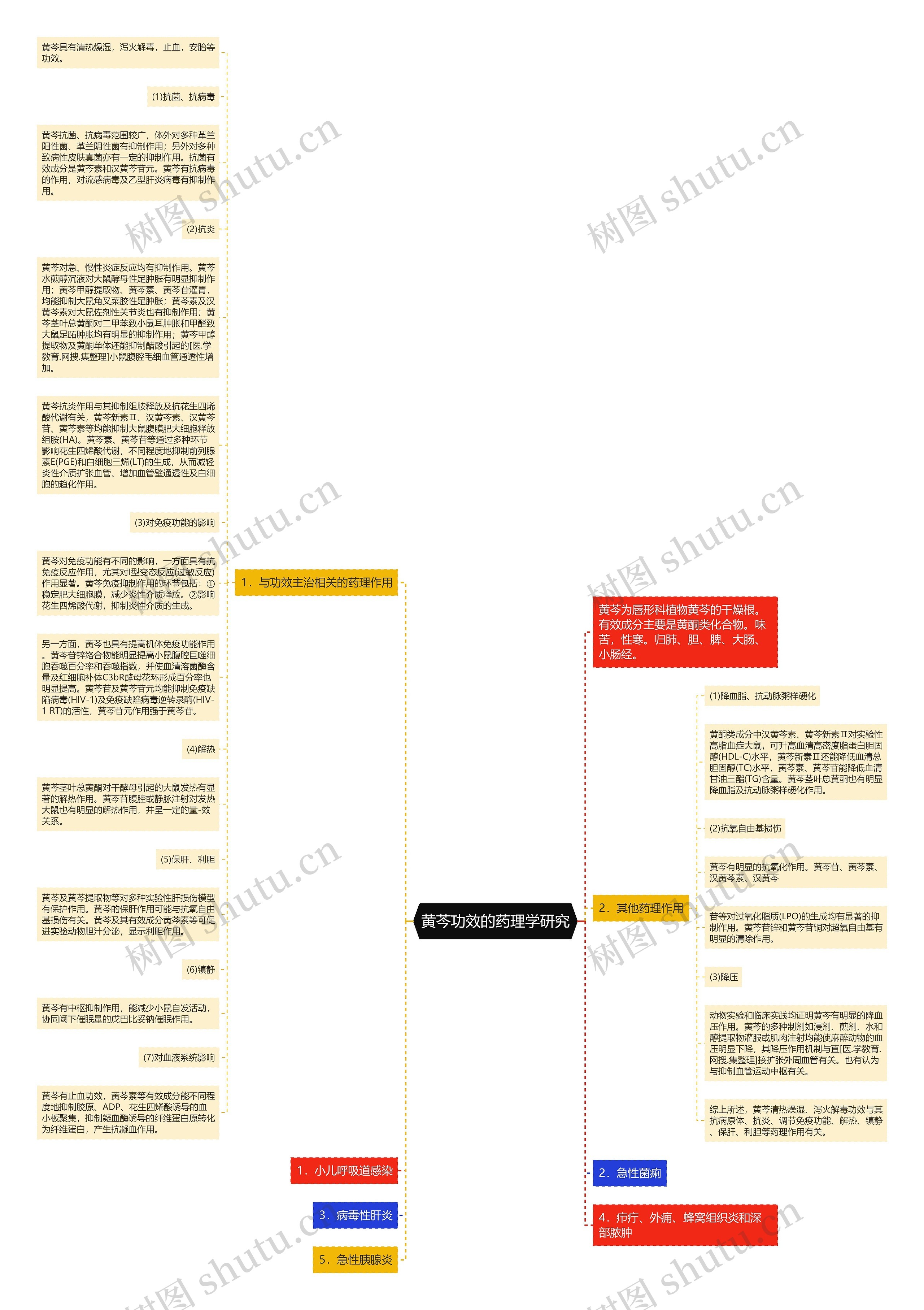 黄芩功效的药理学研究思维导图