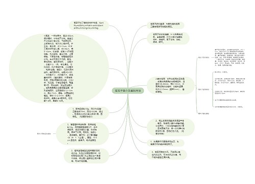 苍耳子简介及鉴别方法思维导图