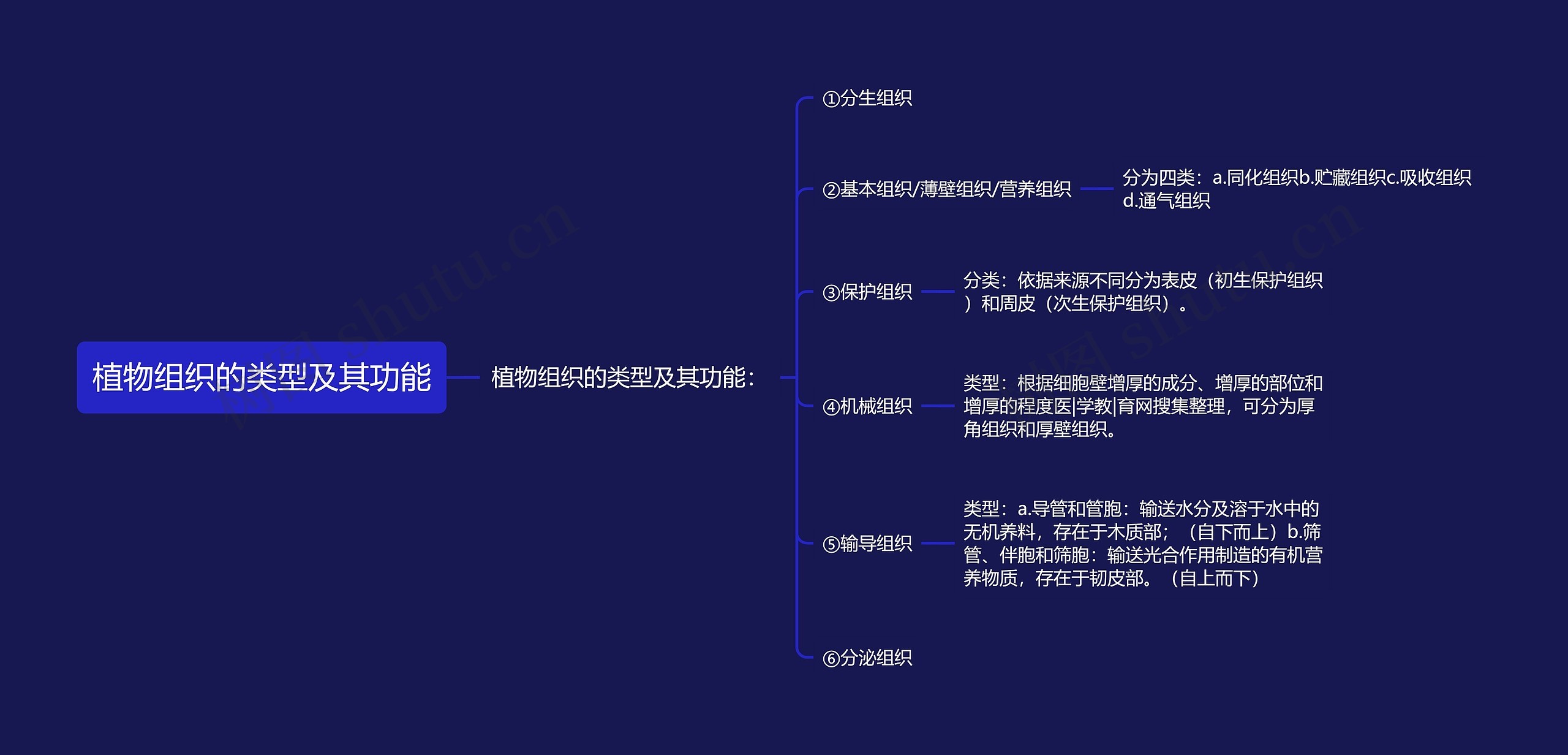 植物组织的类型及其功能思维导图