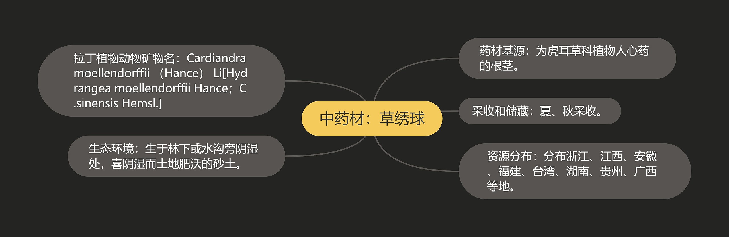 中药材：草绣球思维导图