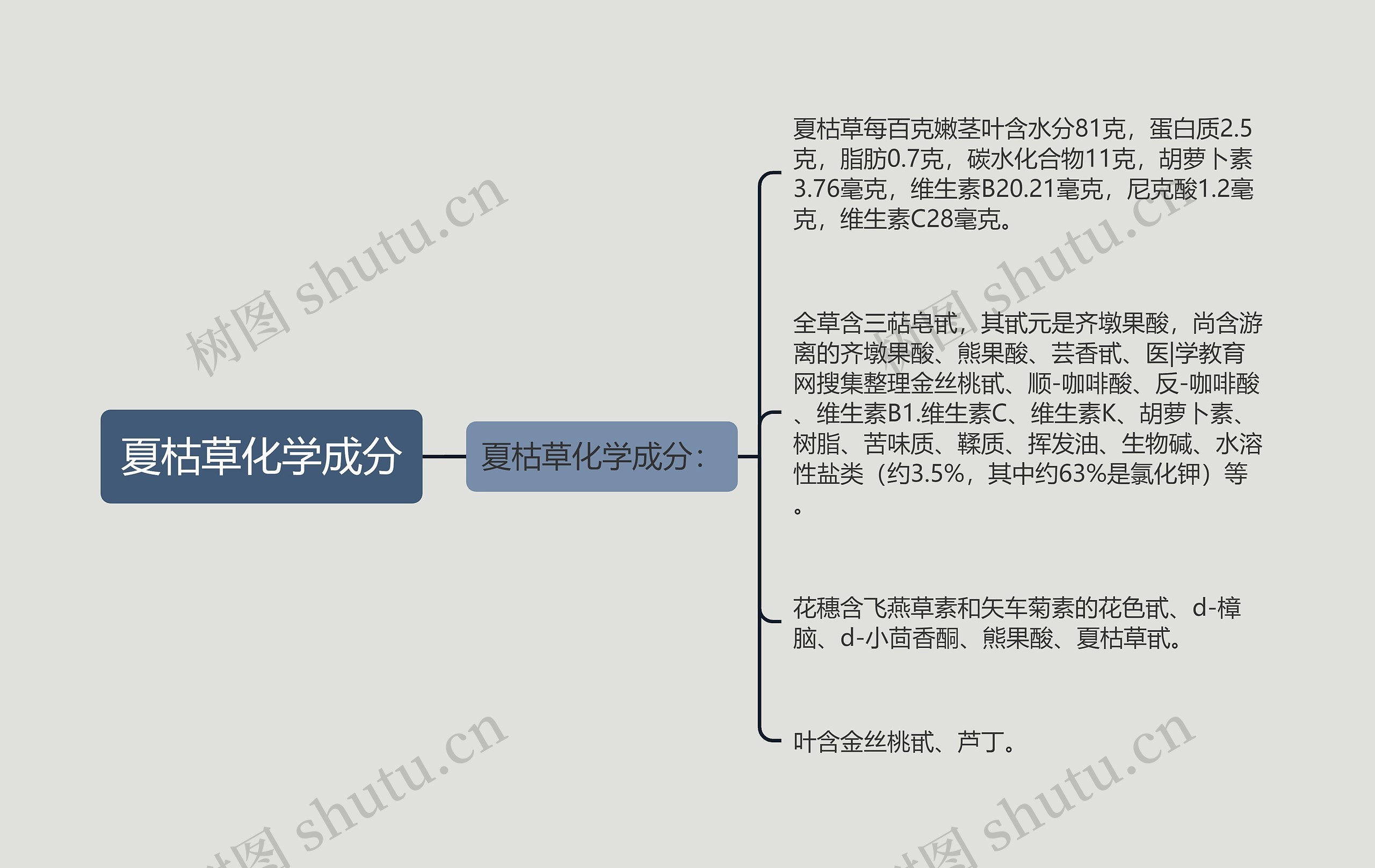 夏枯草化学成分思维导图