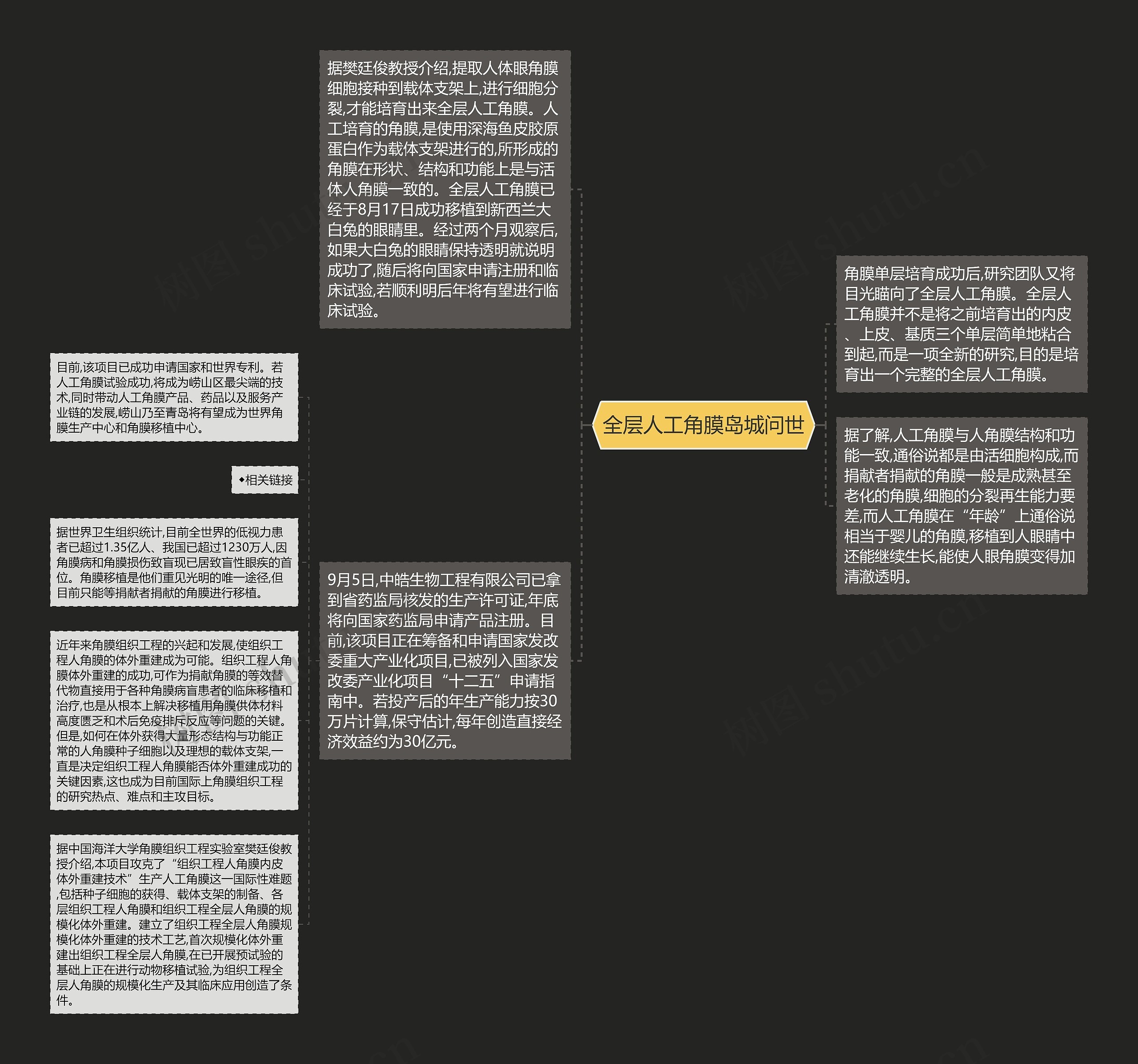 全层人工角膜岛城问世思维导图