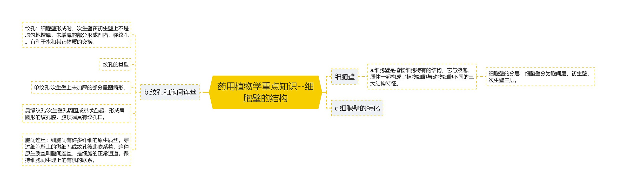 药用植物学重点知识--细胞壁的结构思维导图