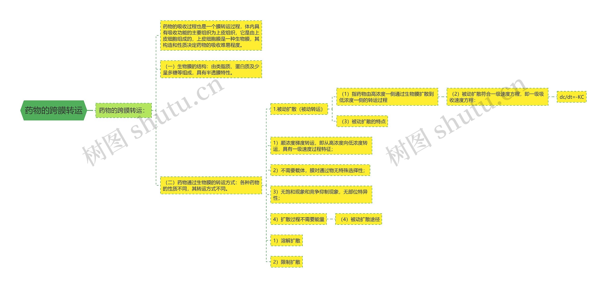 药物的跨膜转运思维导图