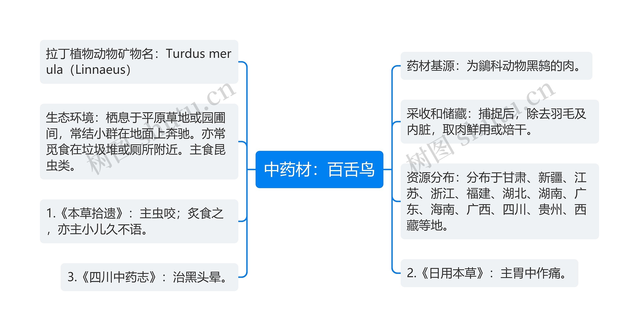 中药材：百舌鸟思维导图