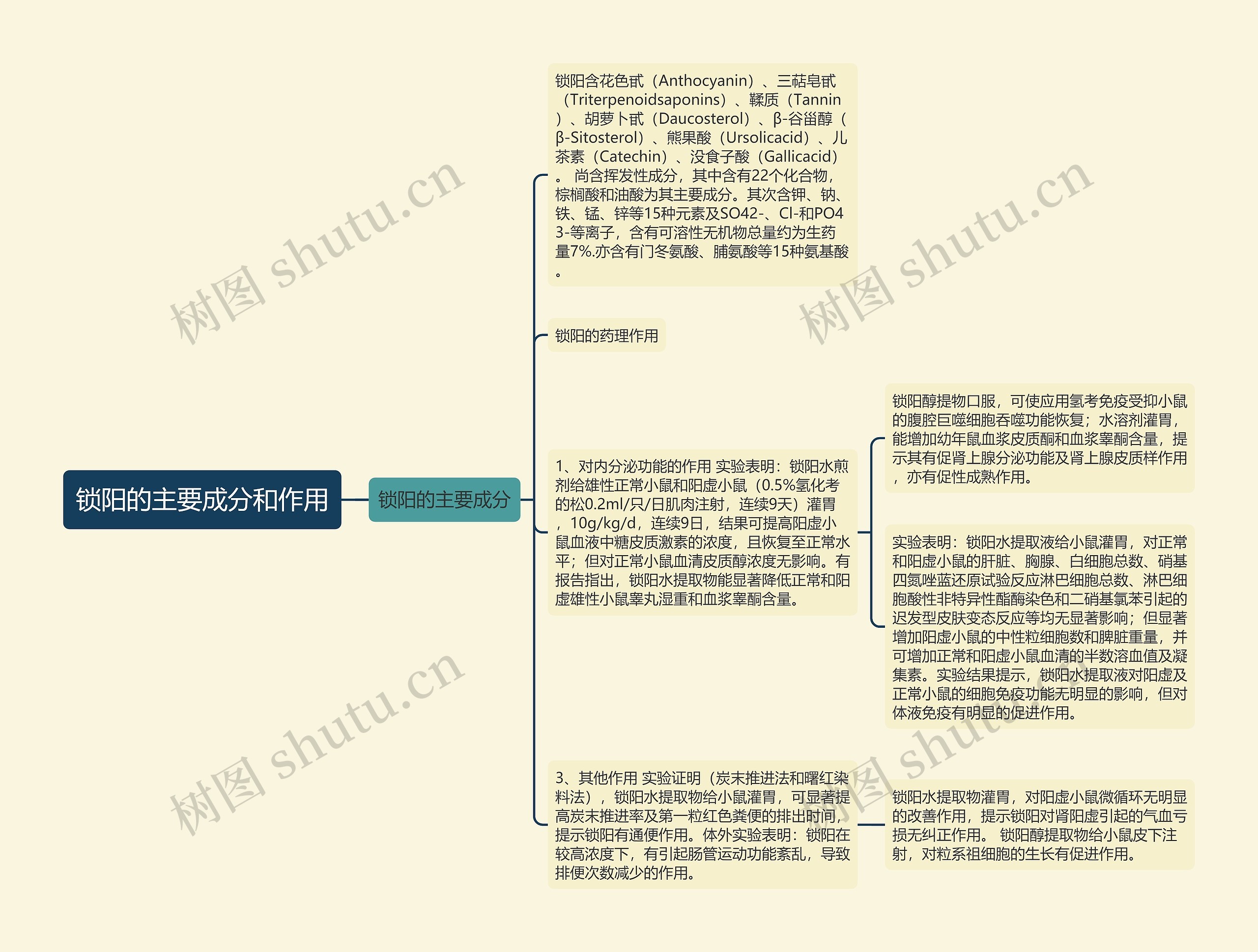 锁阳的主要成分和作用思维导图