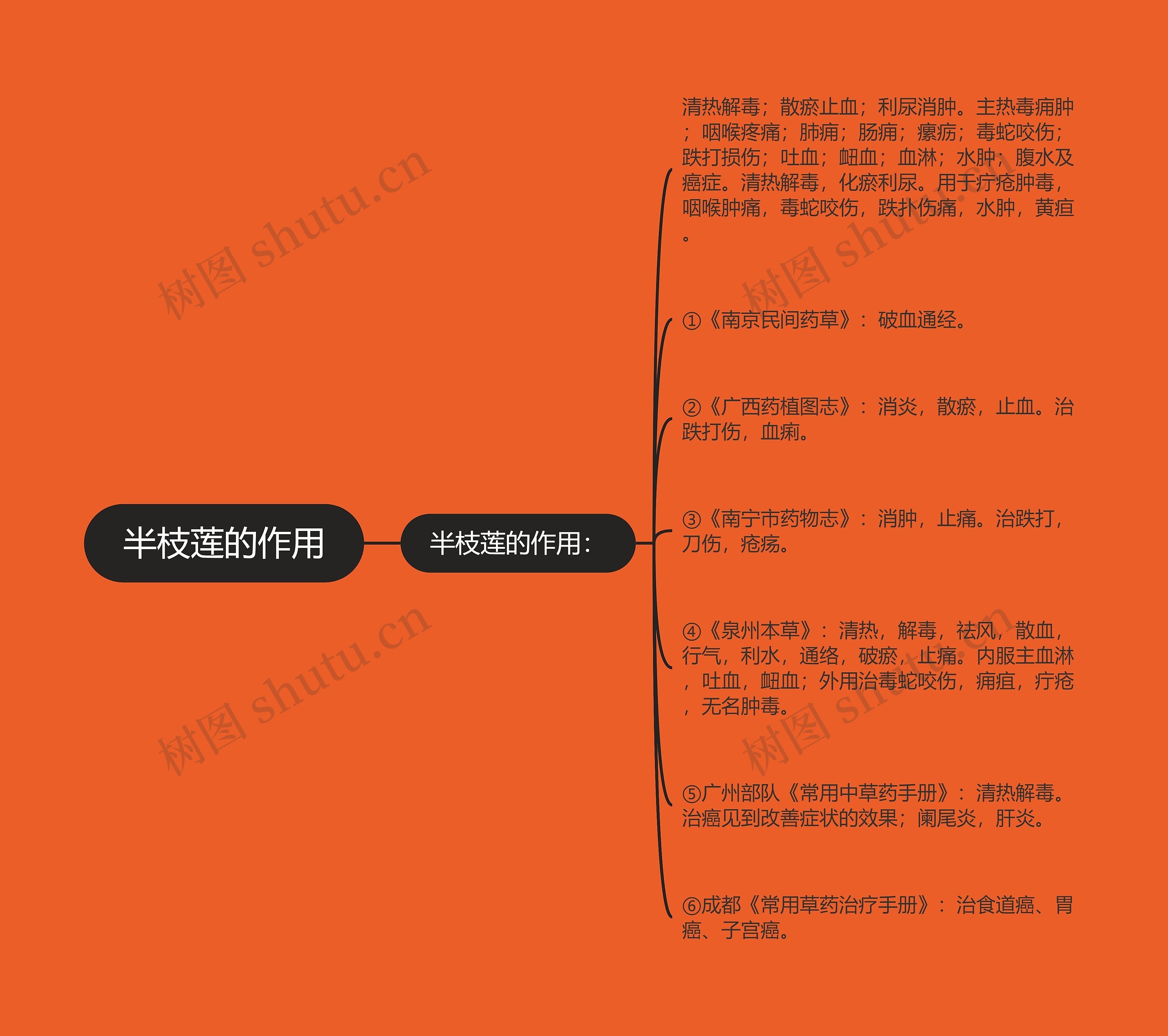 半枝莲的作用思维导图