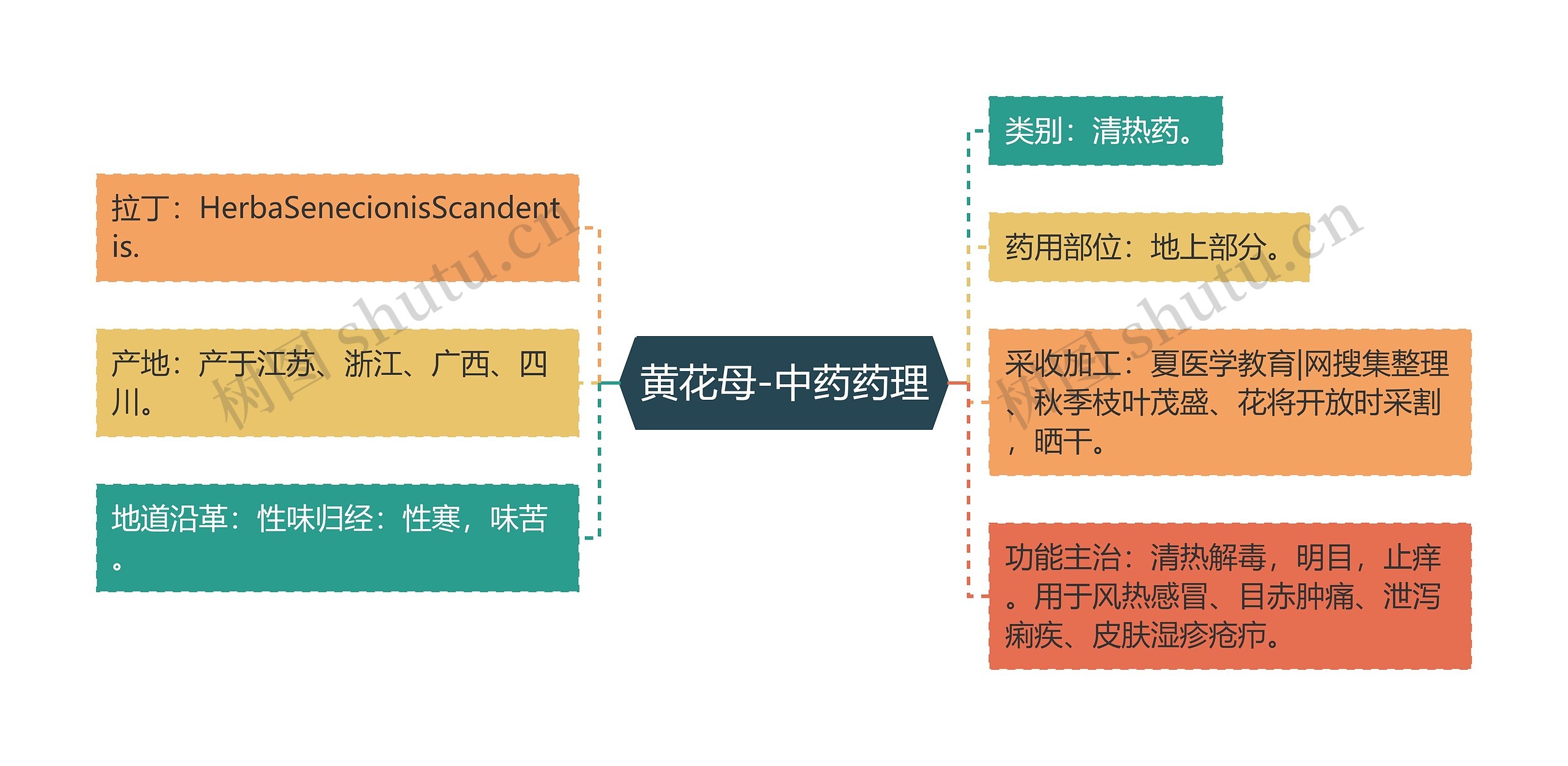 黄花母-中药药理思维导图