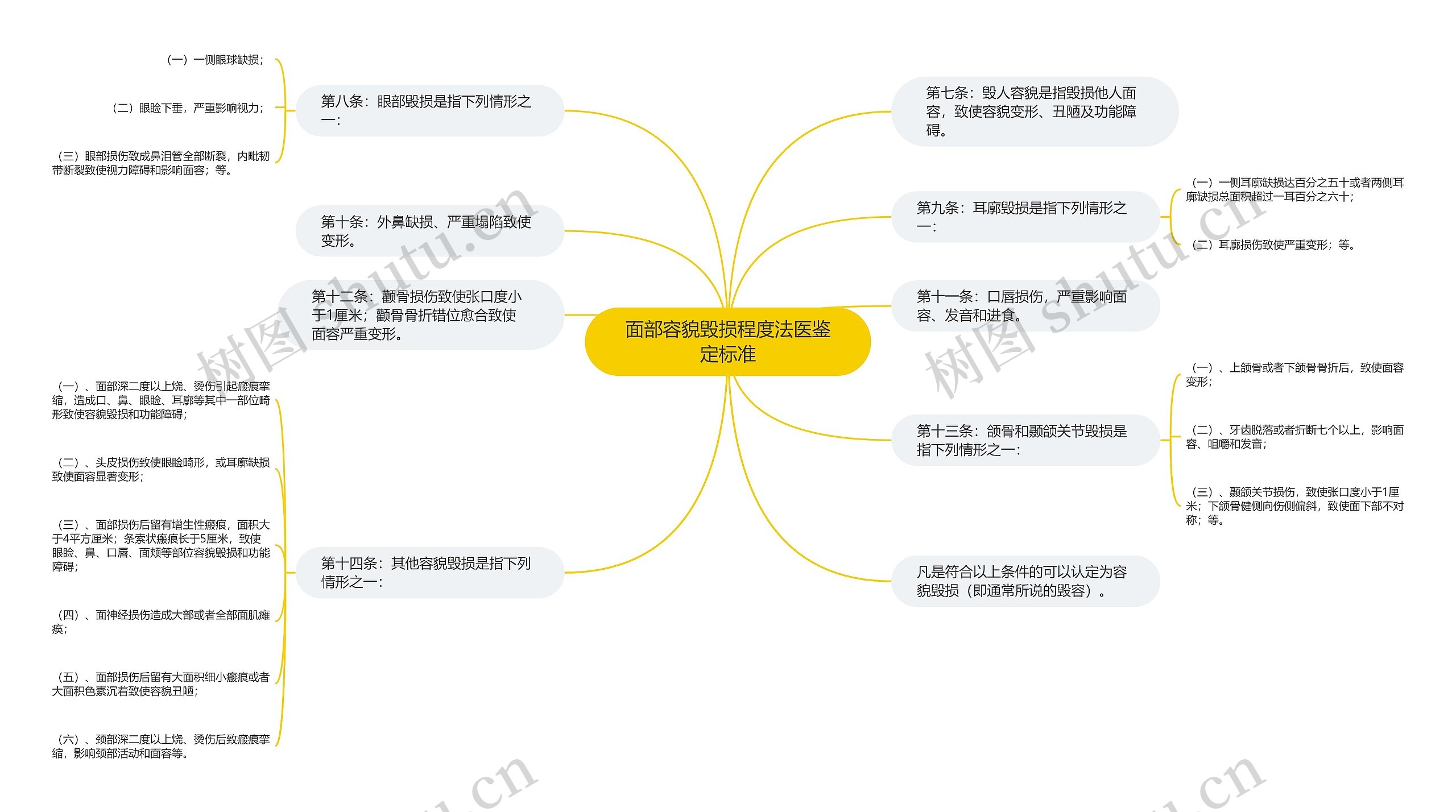 面部容貌毁损程度法医鉴定标准思维导图