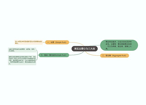 果实主要分为三大类