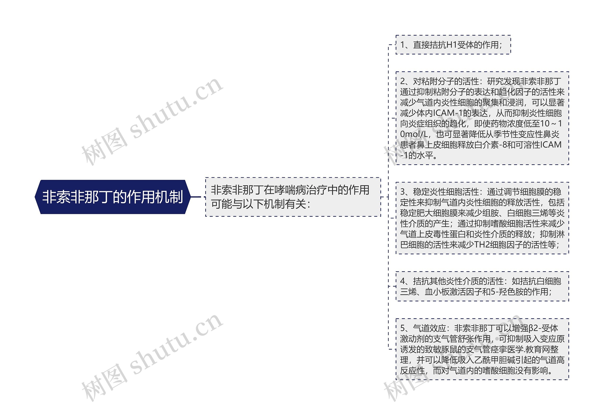 非索非那丁的作用机制思维导图