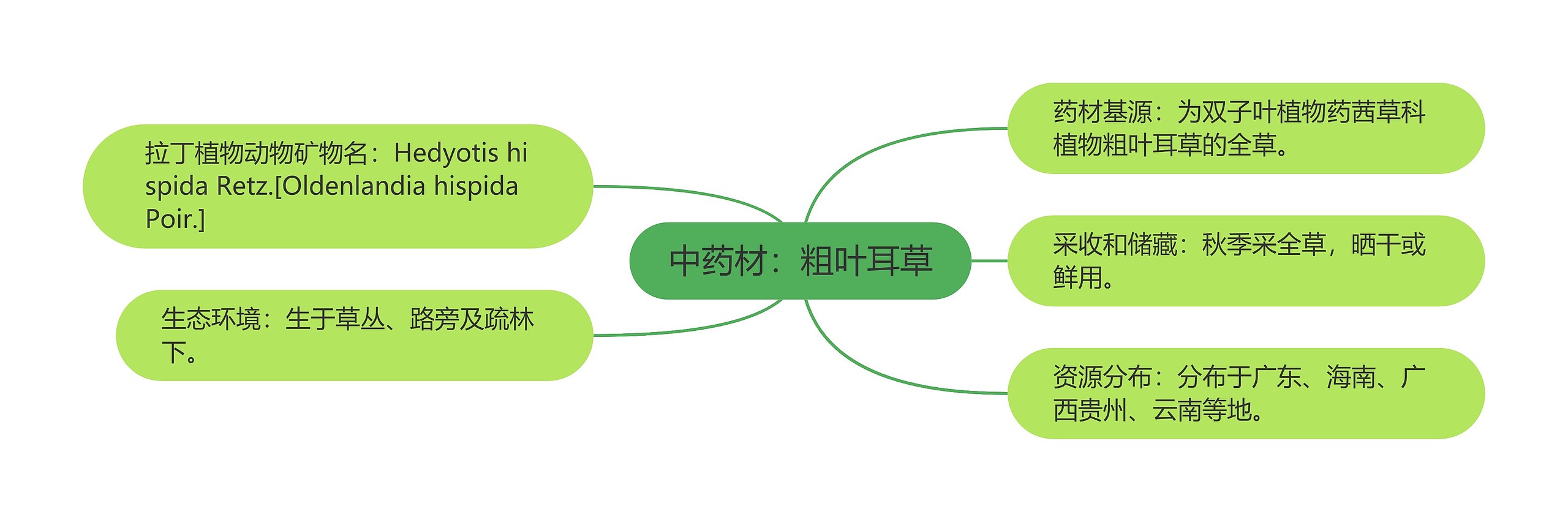 中药材：粗叶耳草思维导图