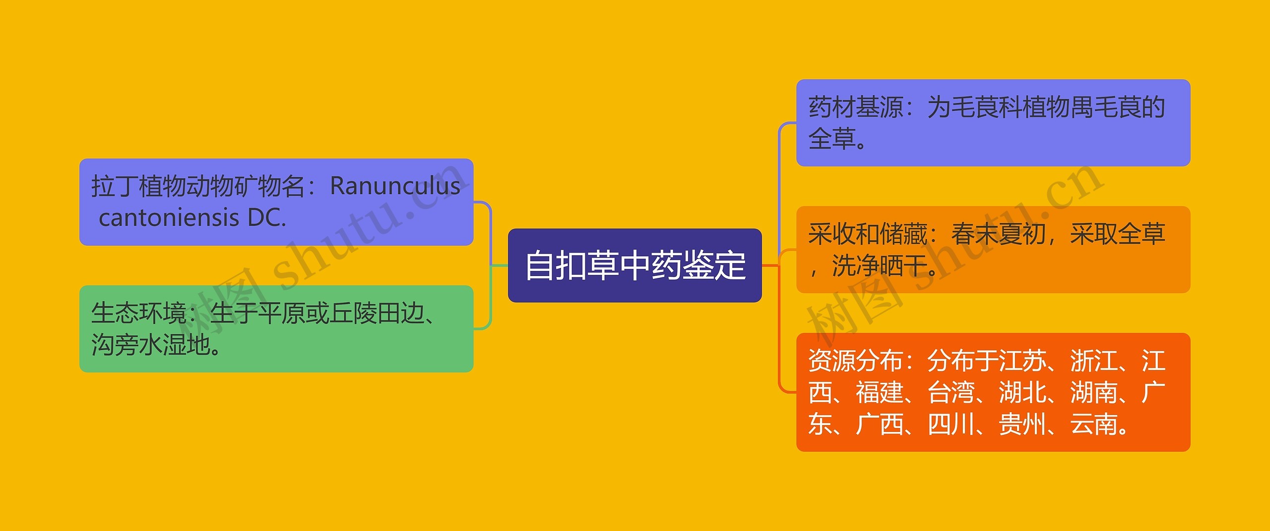 自扣草中药鉴定思维导图