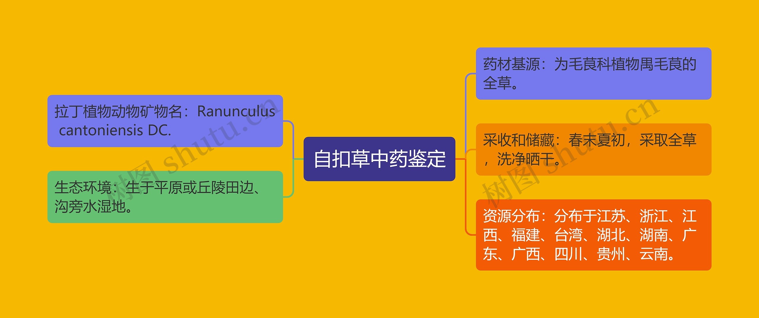 自扣草中药鉴定 自扣草中药鉴定
