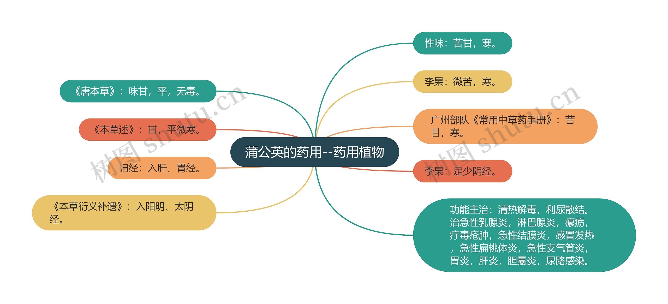 蒲公英的药用--药用植物 蒲公英的药用--药用植物
