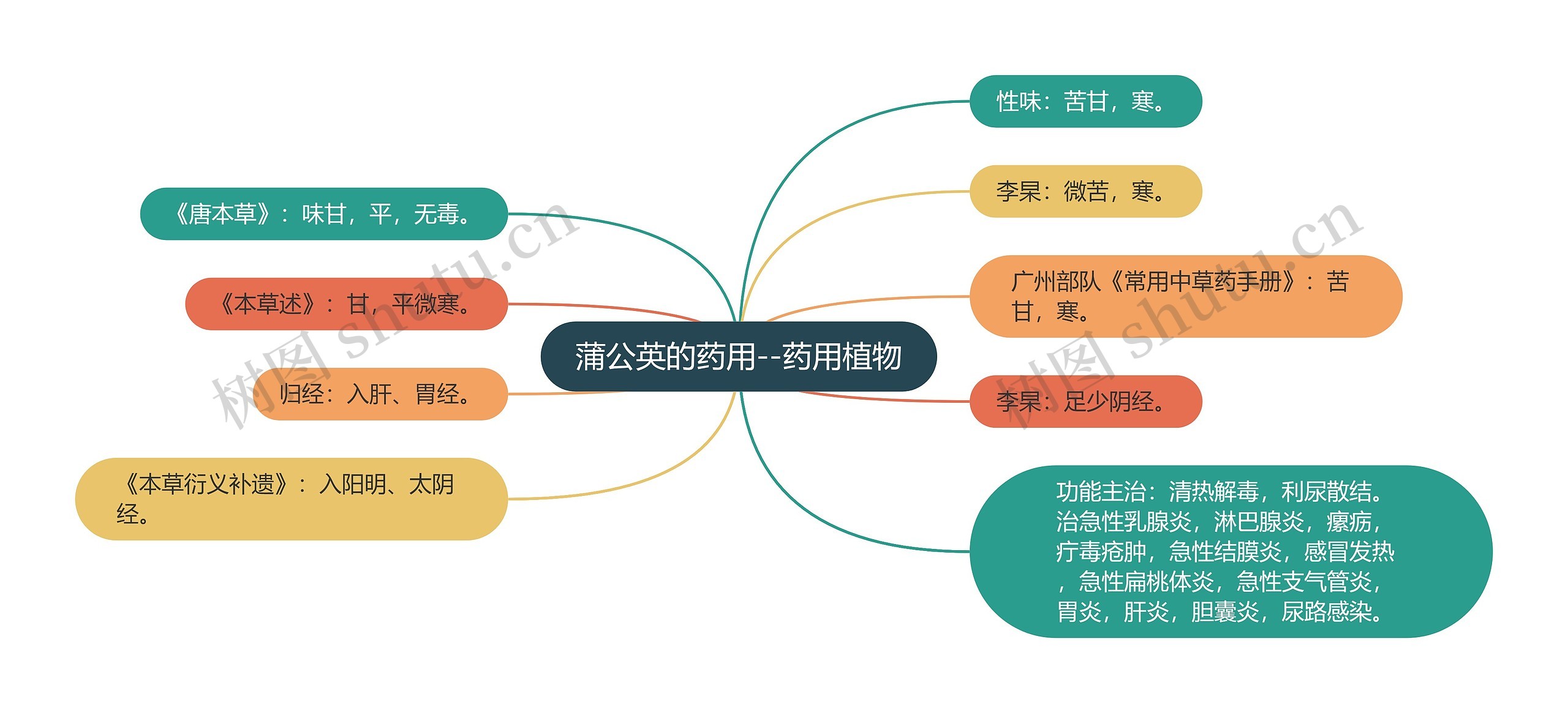 蒲公英的药用--药用植物思维导图