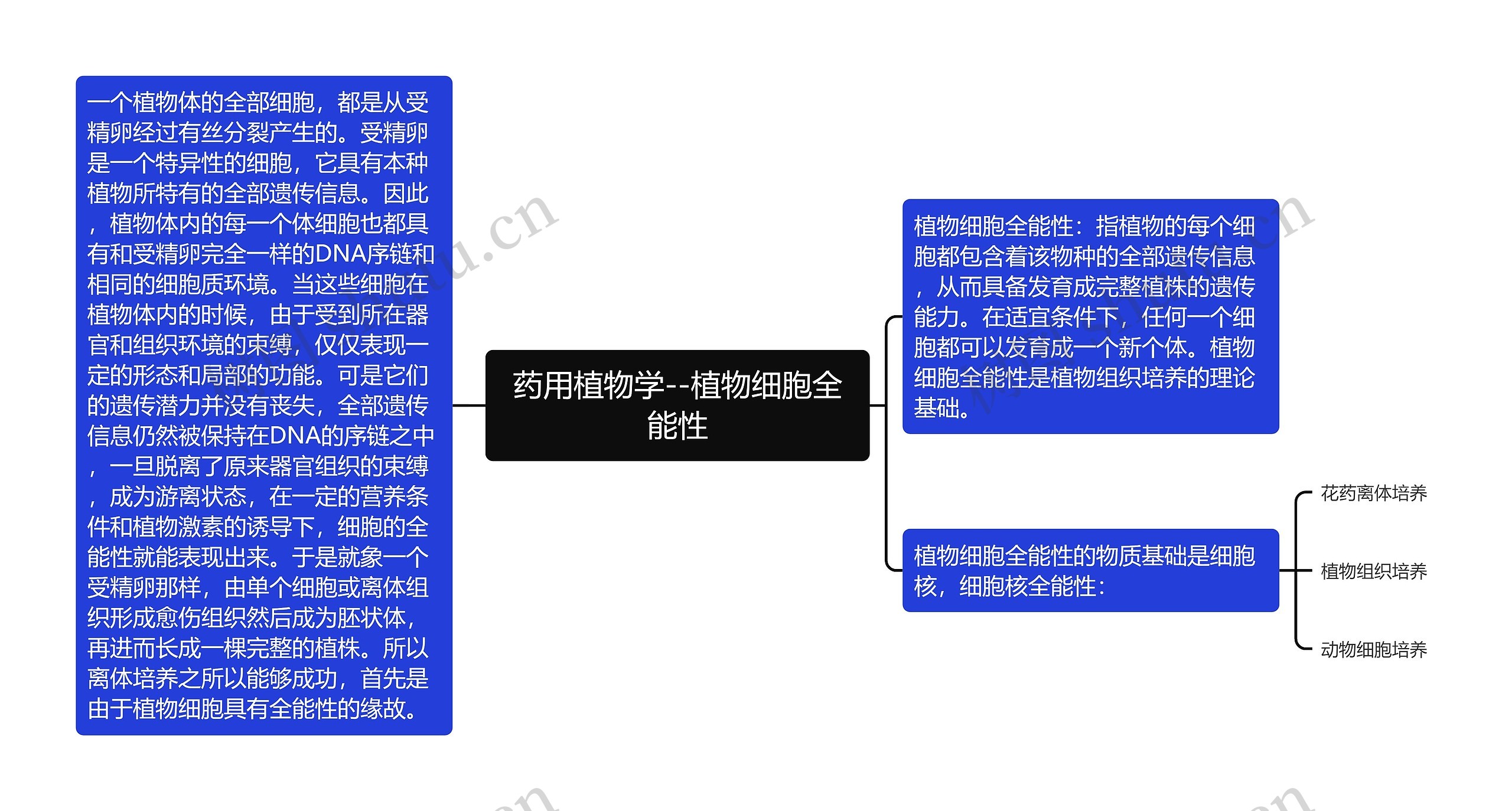 药用植物学--植物细胞全能性思维导图