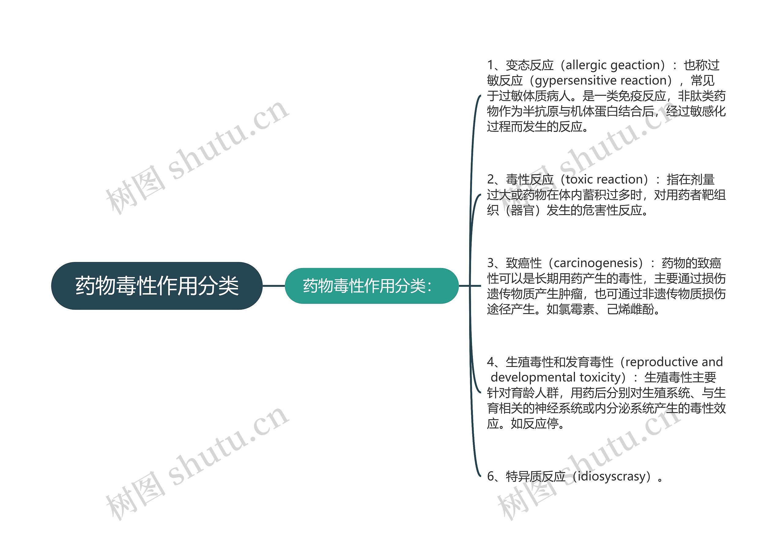 药物毒性作用分类思维导图