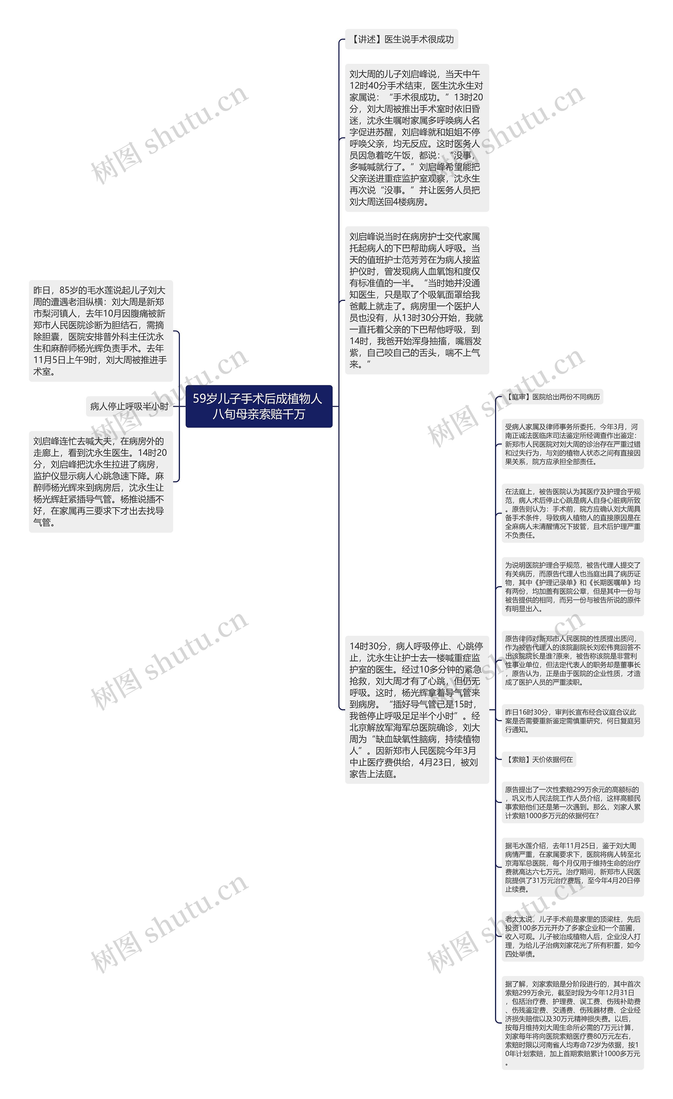 59岁儿子手术后成植物人 八旬母亲索赔千万思维导图