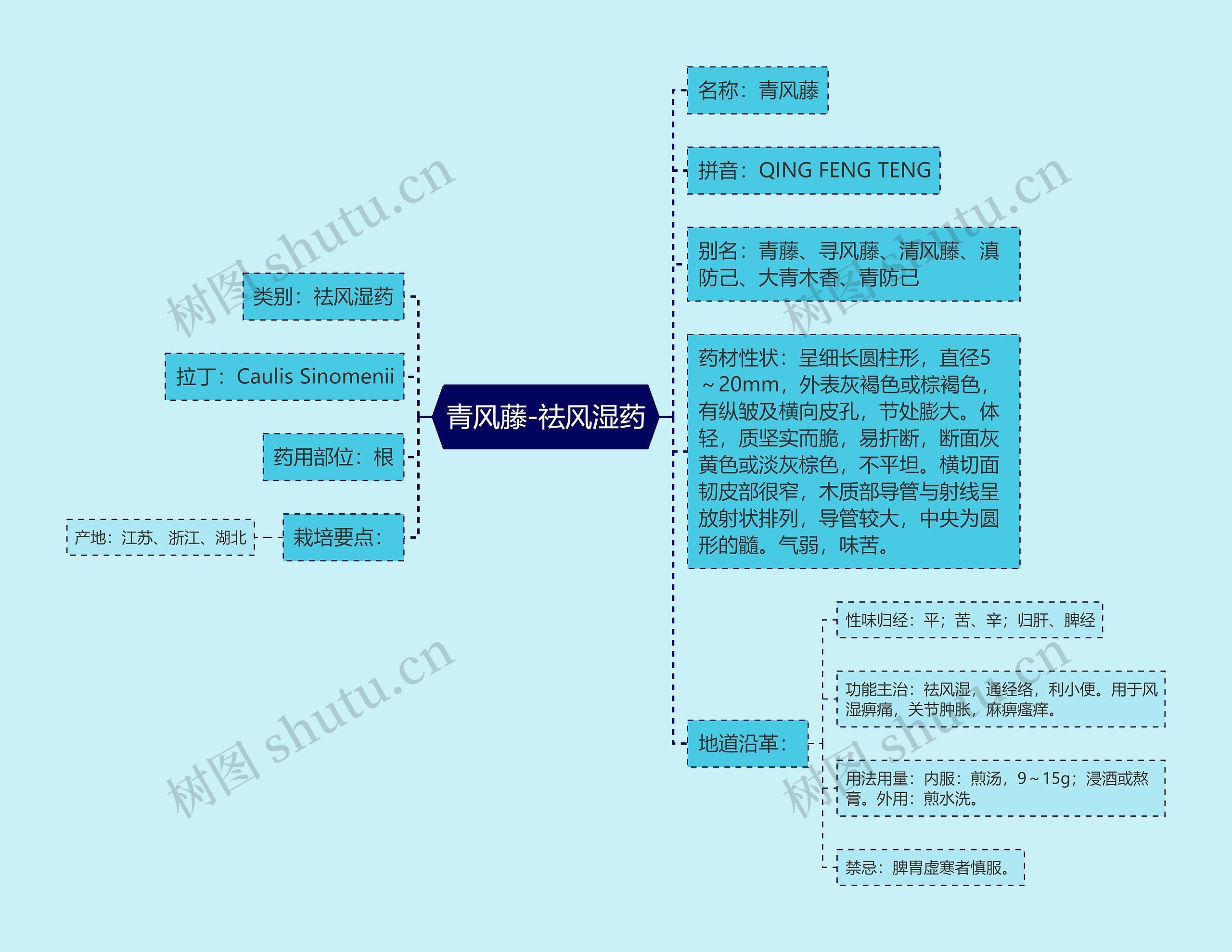 青风藤-祛风湿药 青风藤-祛风湿药