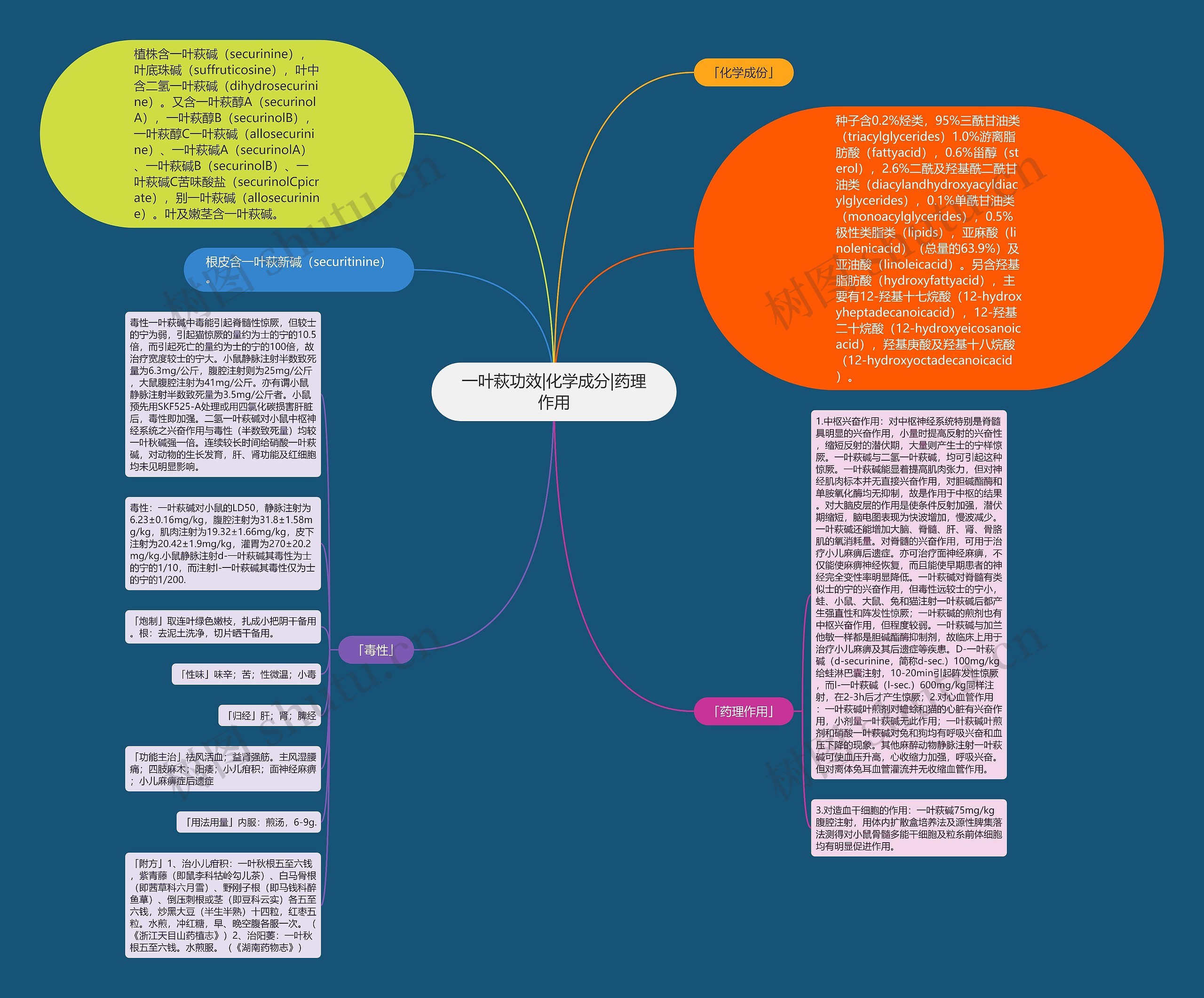 一叶萩功效|化学成分|药理作用思维导图