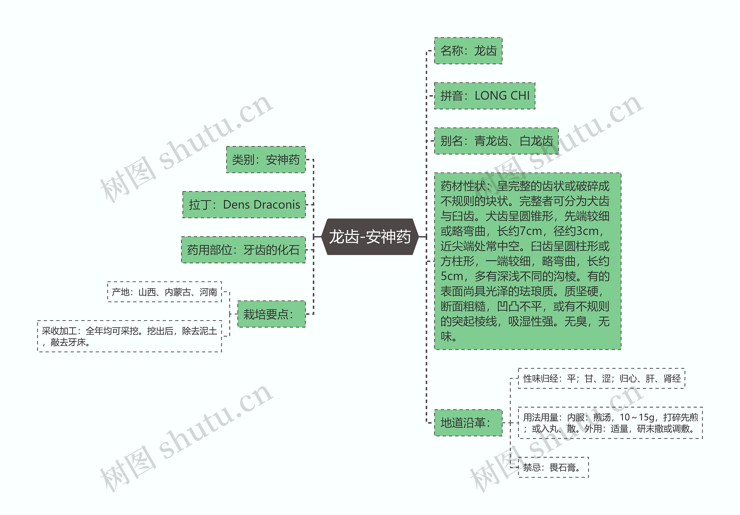 龙齿-安神药思维导图