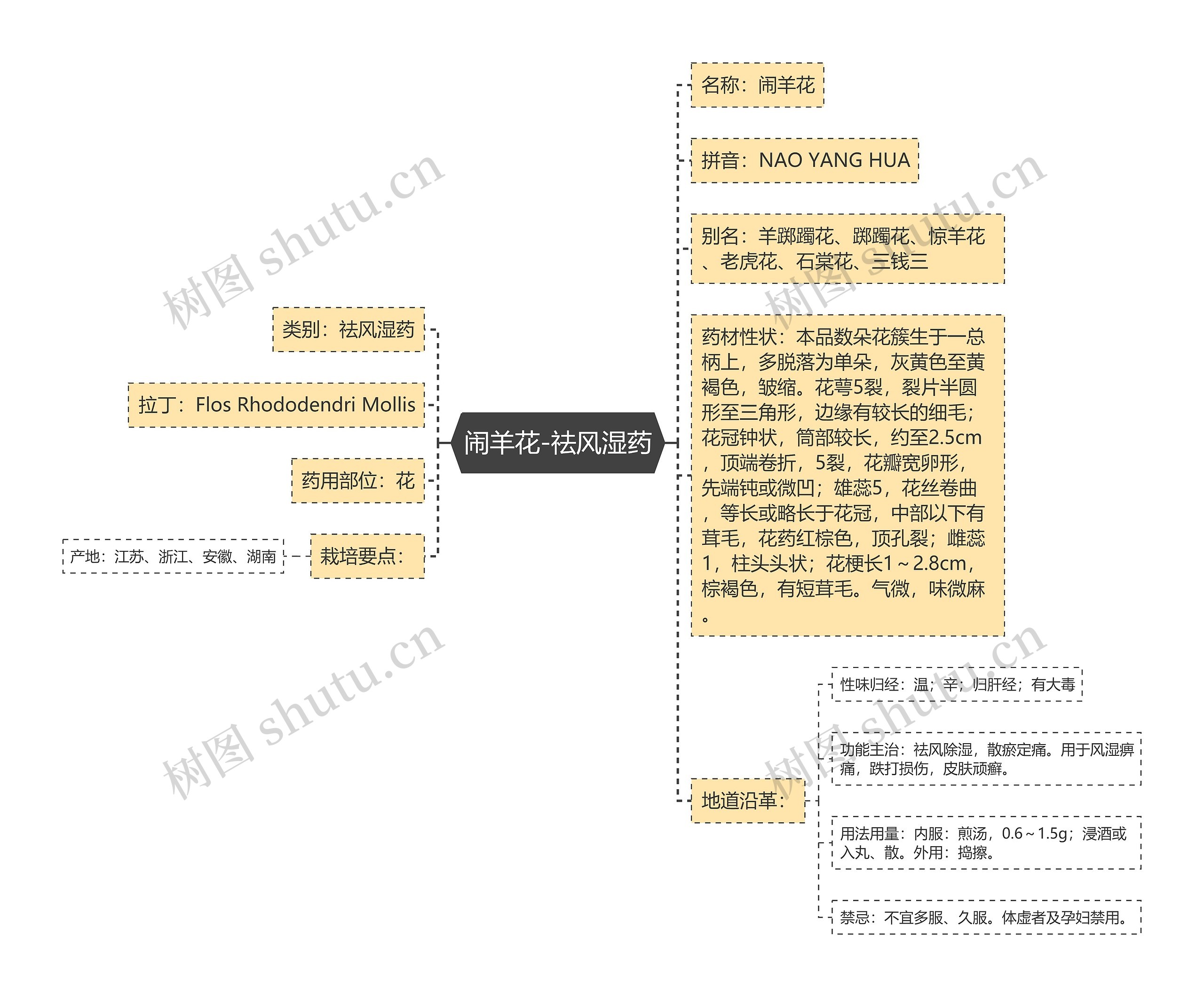 闹羊花-祛风湿药思维导图