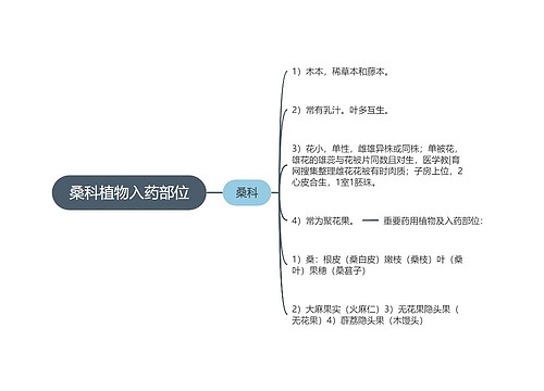 桑科植物入药部位