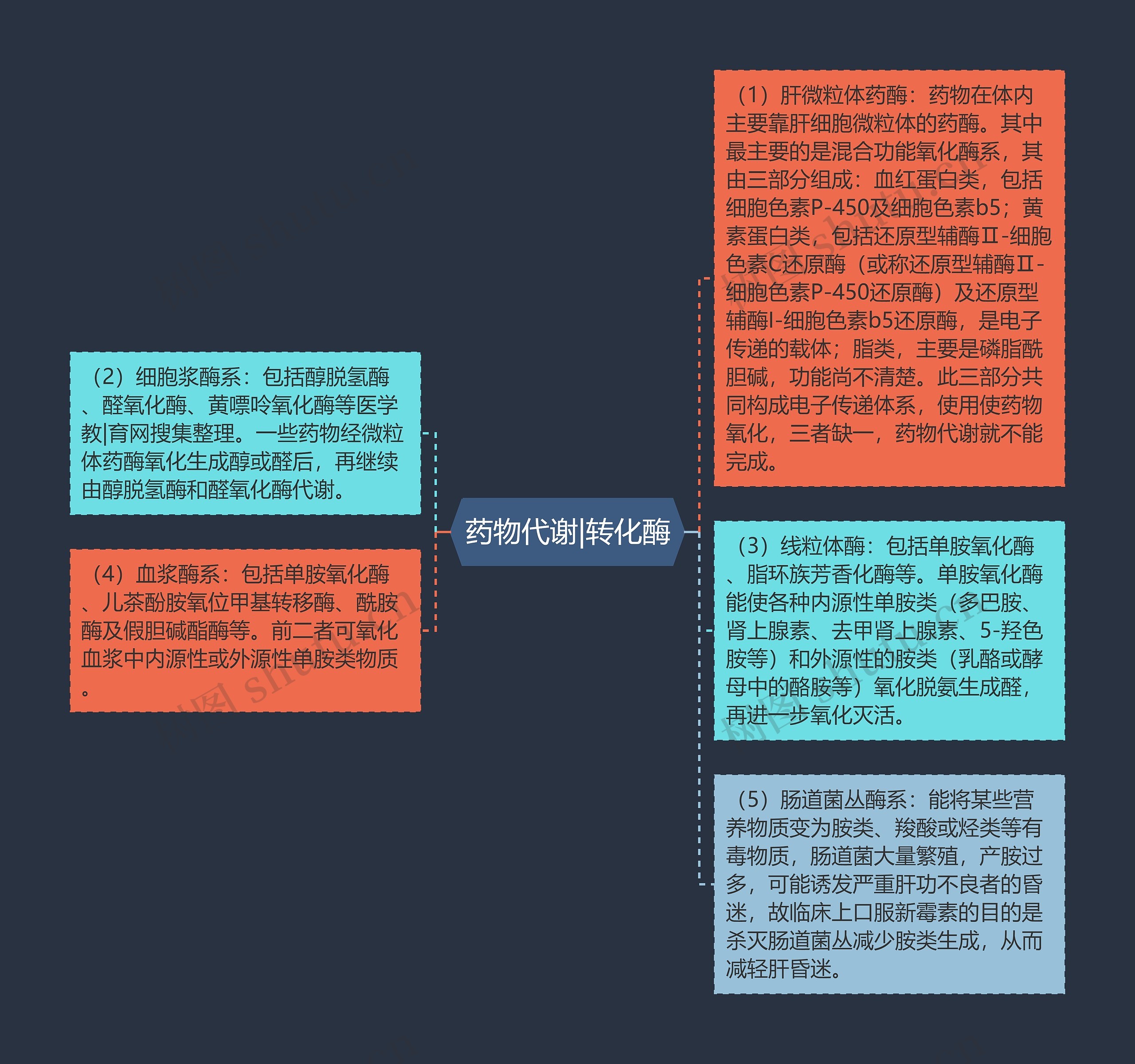 药物代谢|转化酶