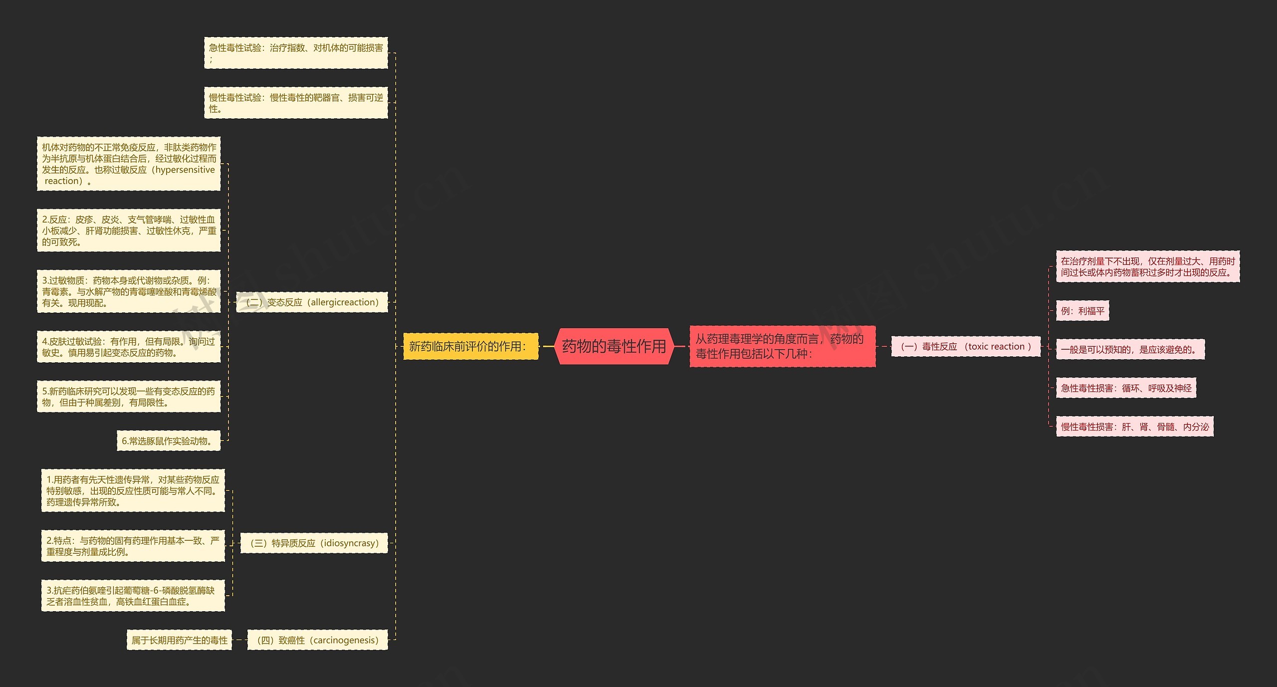 药物的毒性作用思维导图