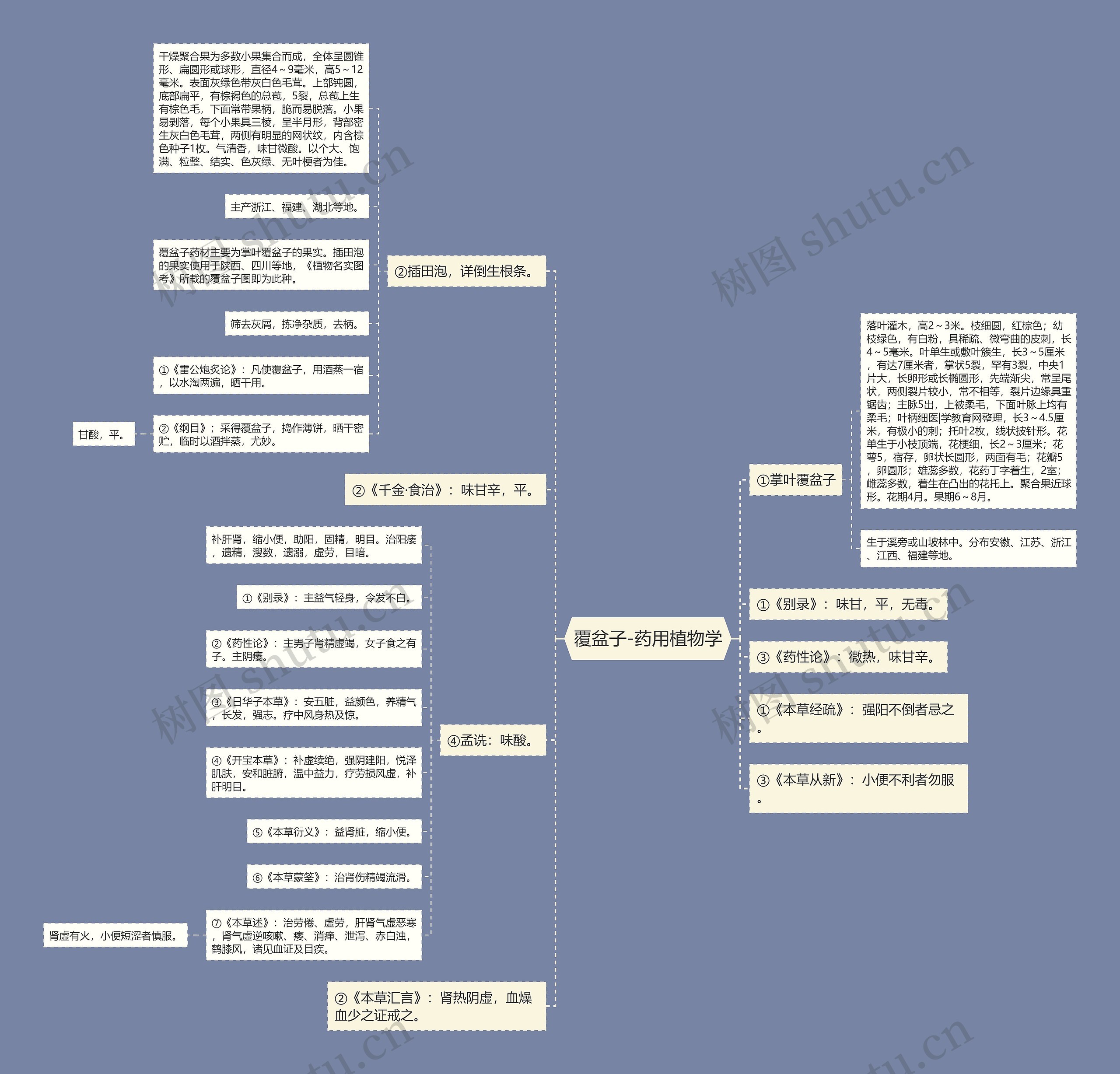 覆盆子-药用植物学 覆盆子-药用植物学