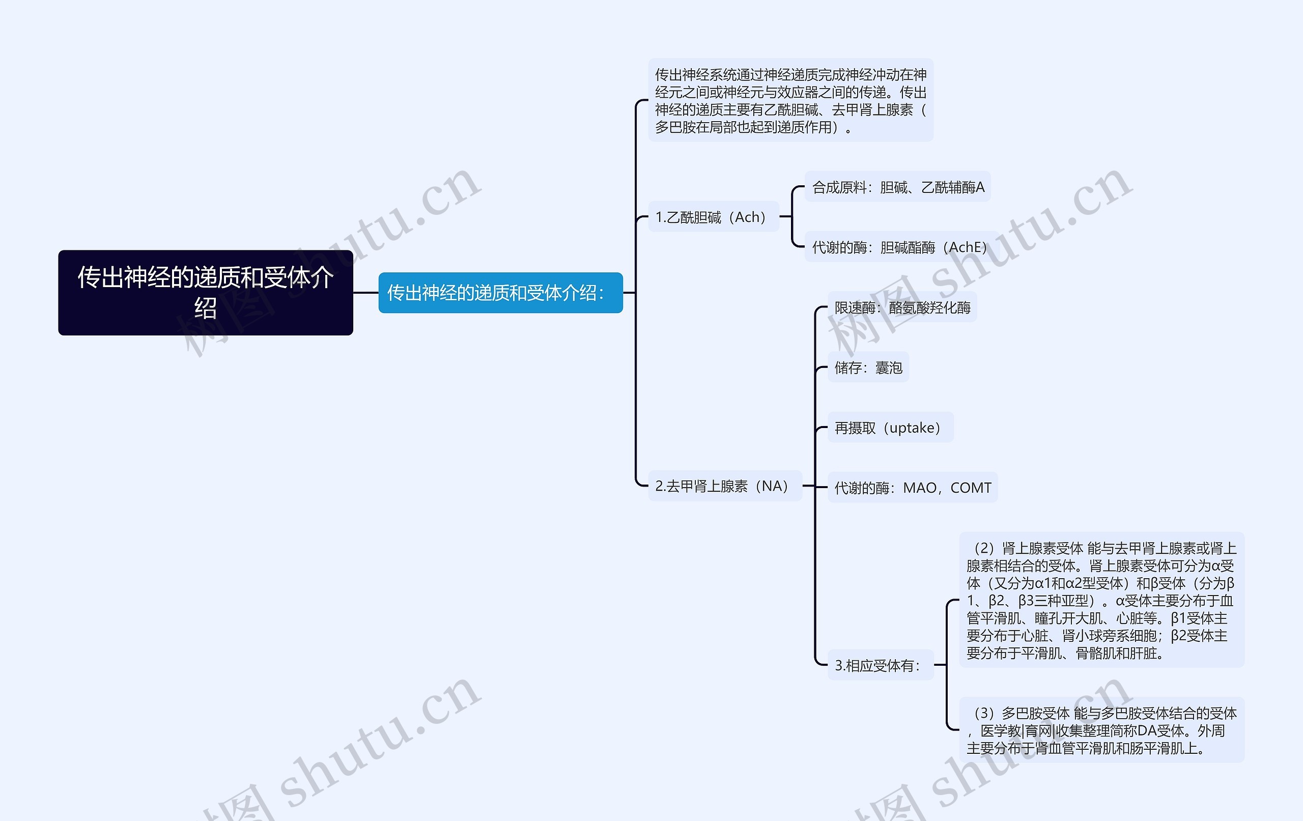 传出神经的递质和受体介绍思维导图高清图 传出神经的递质和受体介绍思维导图