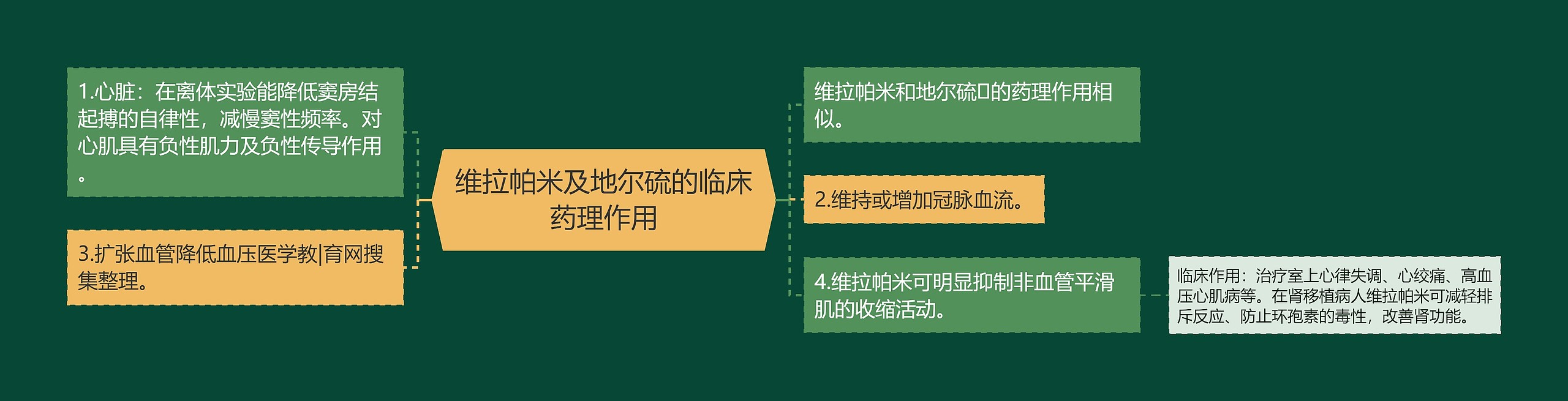 维拉帕米及地尔硫的临床药理作用