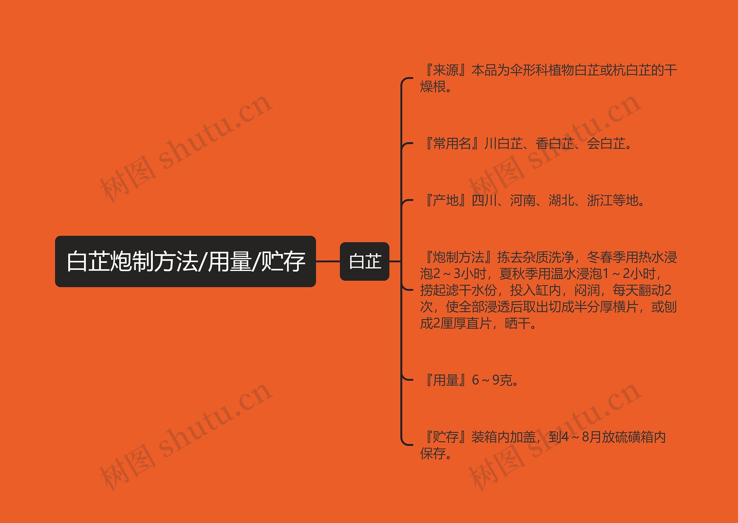 白芷炮制方法/用量/贮存