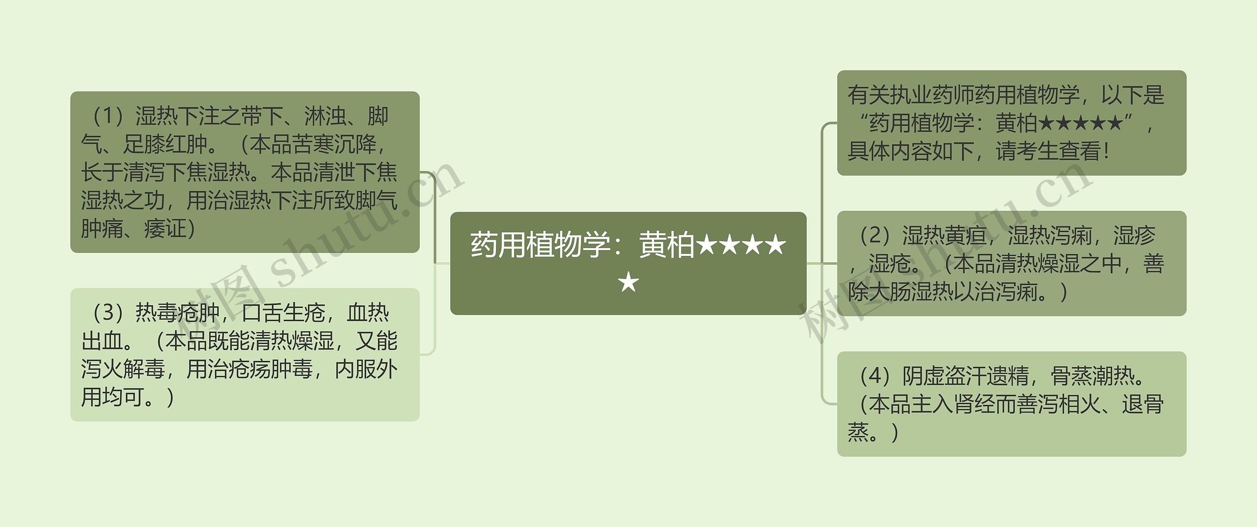 药用植物学：黄柏★★★★★