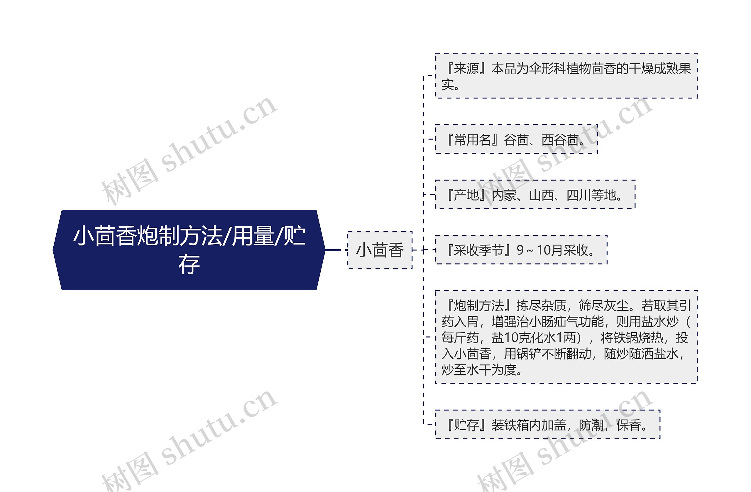 小茴香炮制方法/用量/贮存思维导图