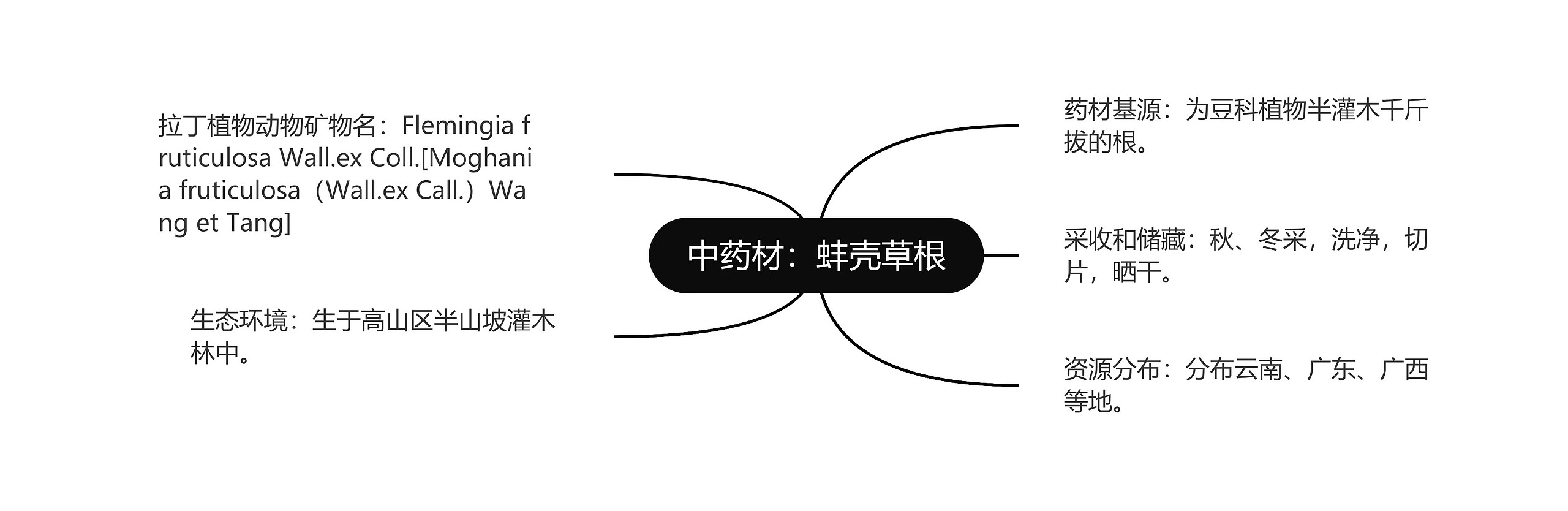 中药材：蚌壳草根思维导图