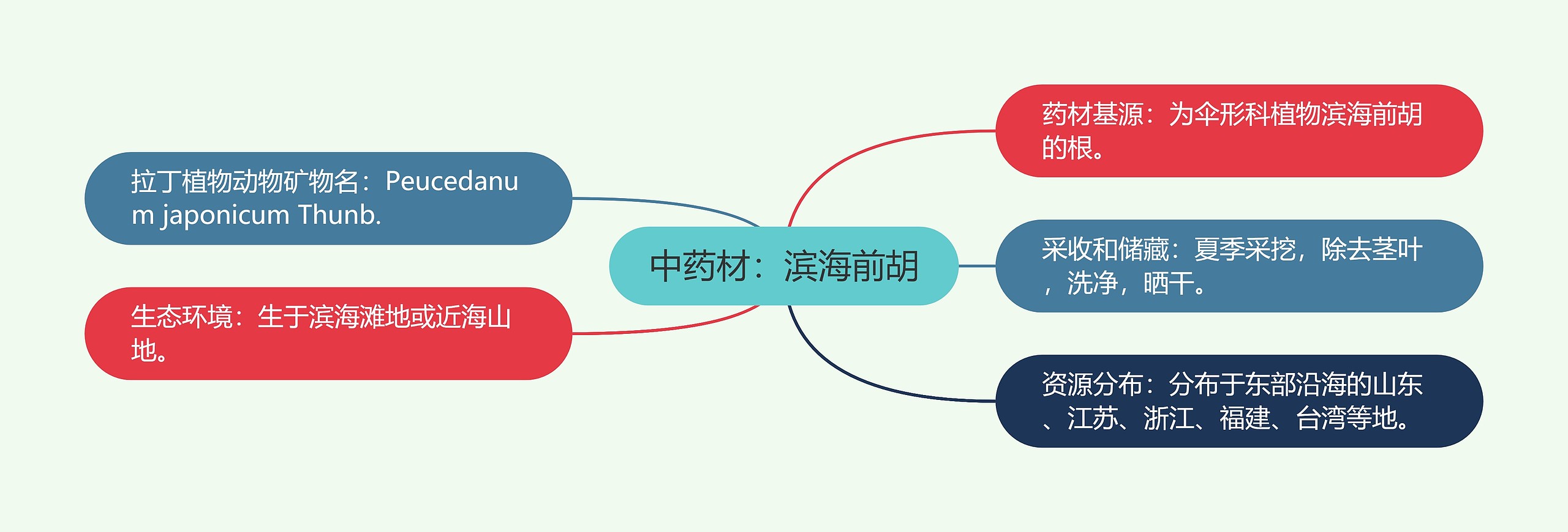 中药材:滨海前胡 中药材:滨海前胡