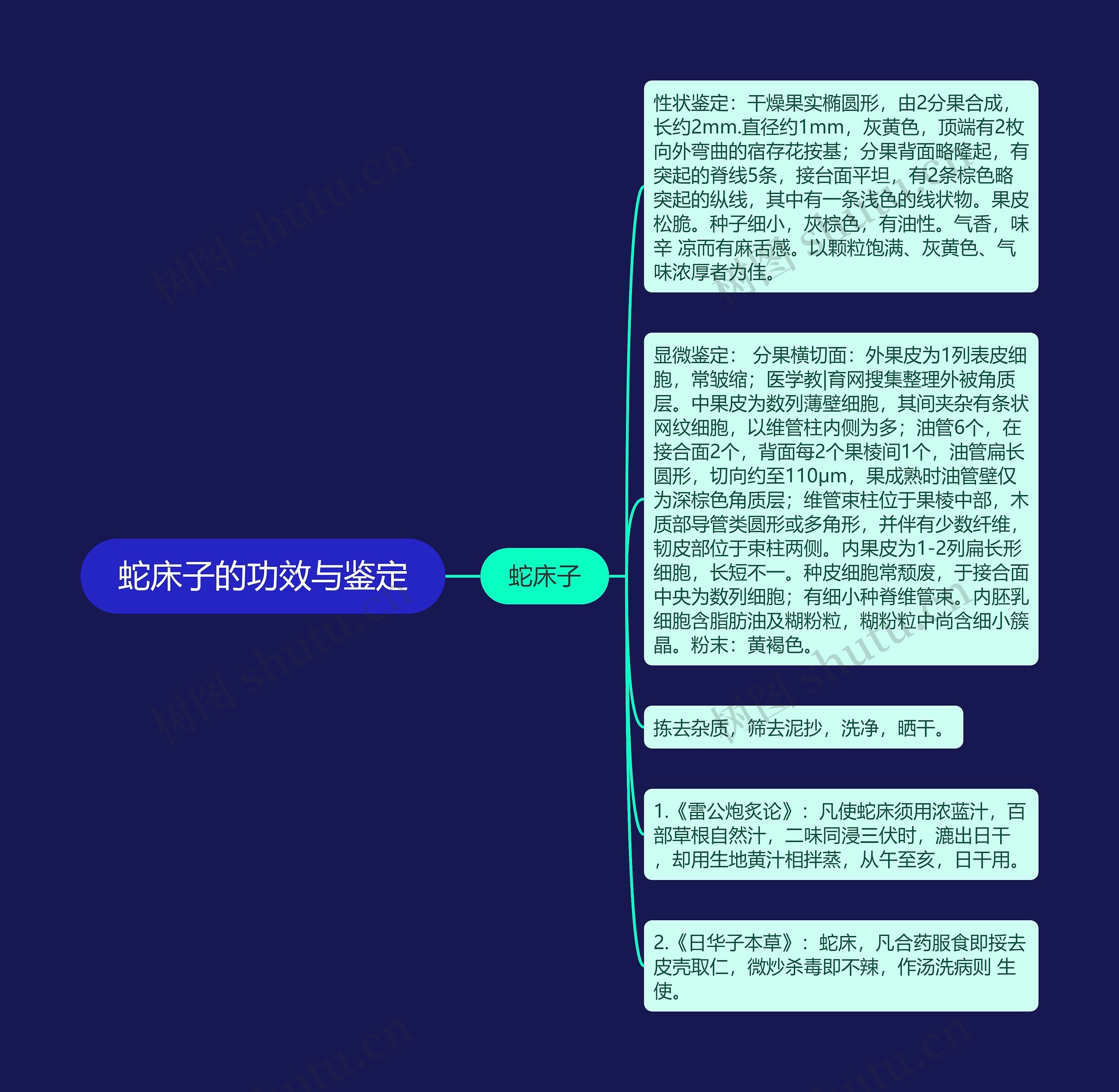 蛇床子的功效与鉴定