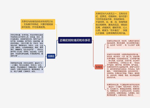 正确区别玫瑰花和月季花