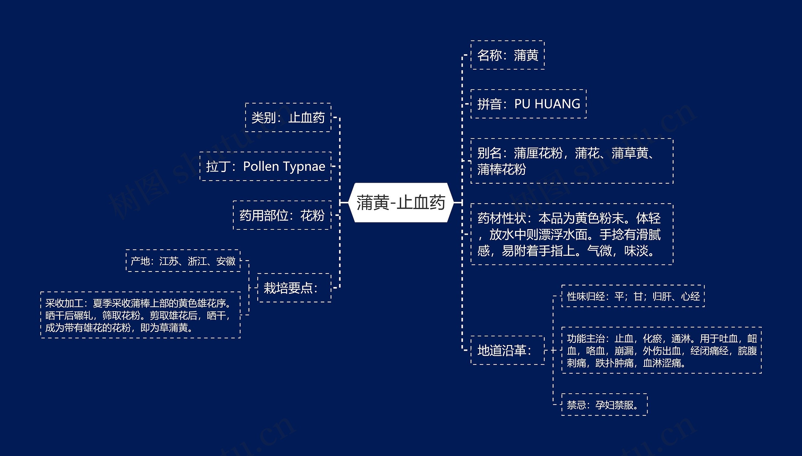 蒲黄-止血药思维导图