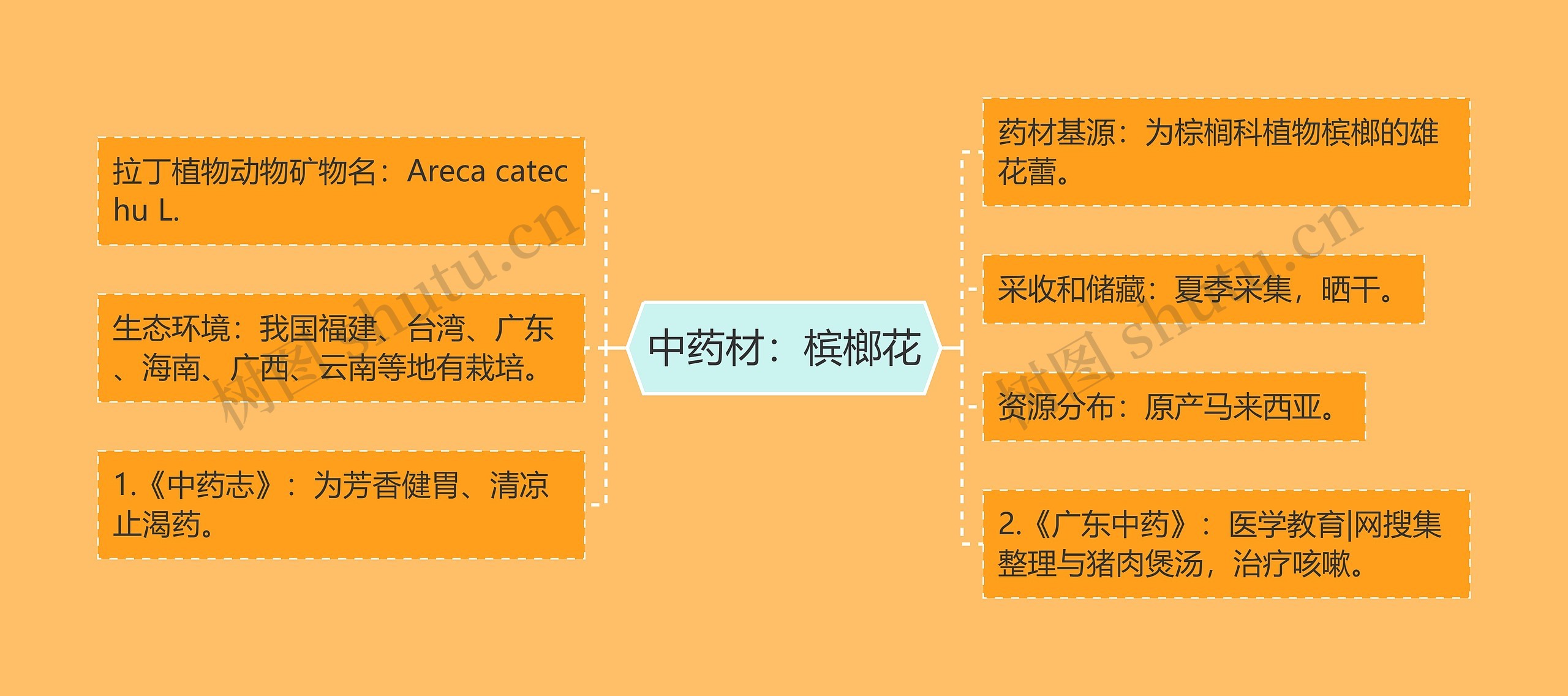 中药材:槟榔花 中药材:槟榔花