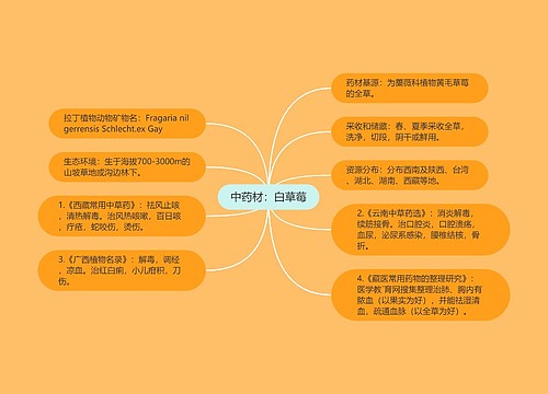 中药材：白草莓思维导图