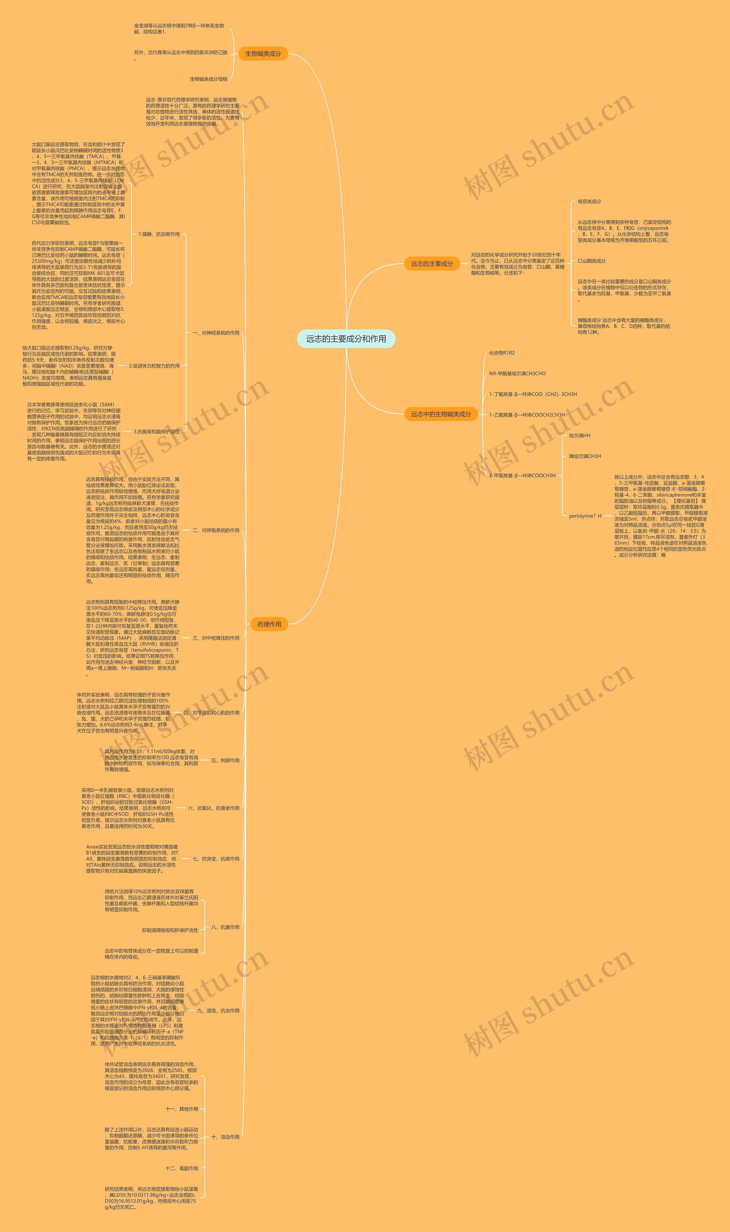 远志的主要成分和作用思维导图