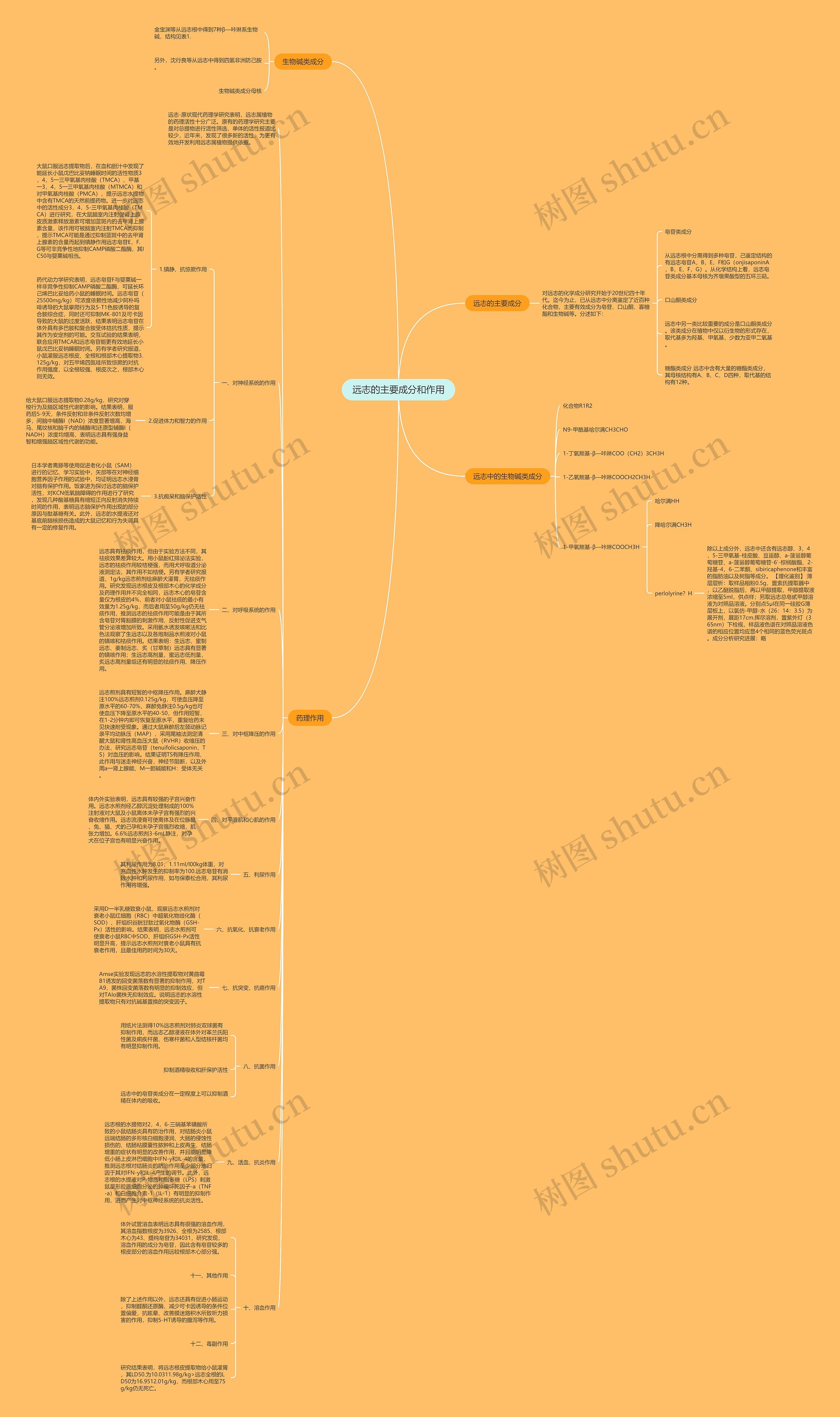 远志的主要成分和作用 远志的主要成分和作用