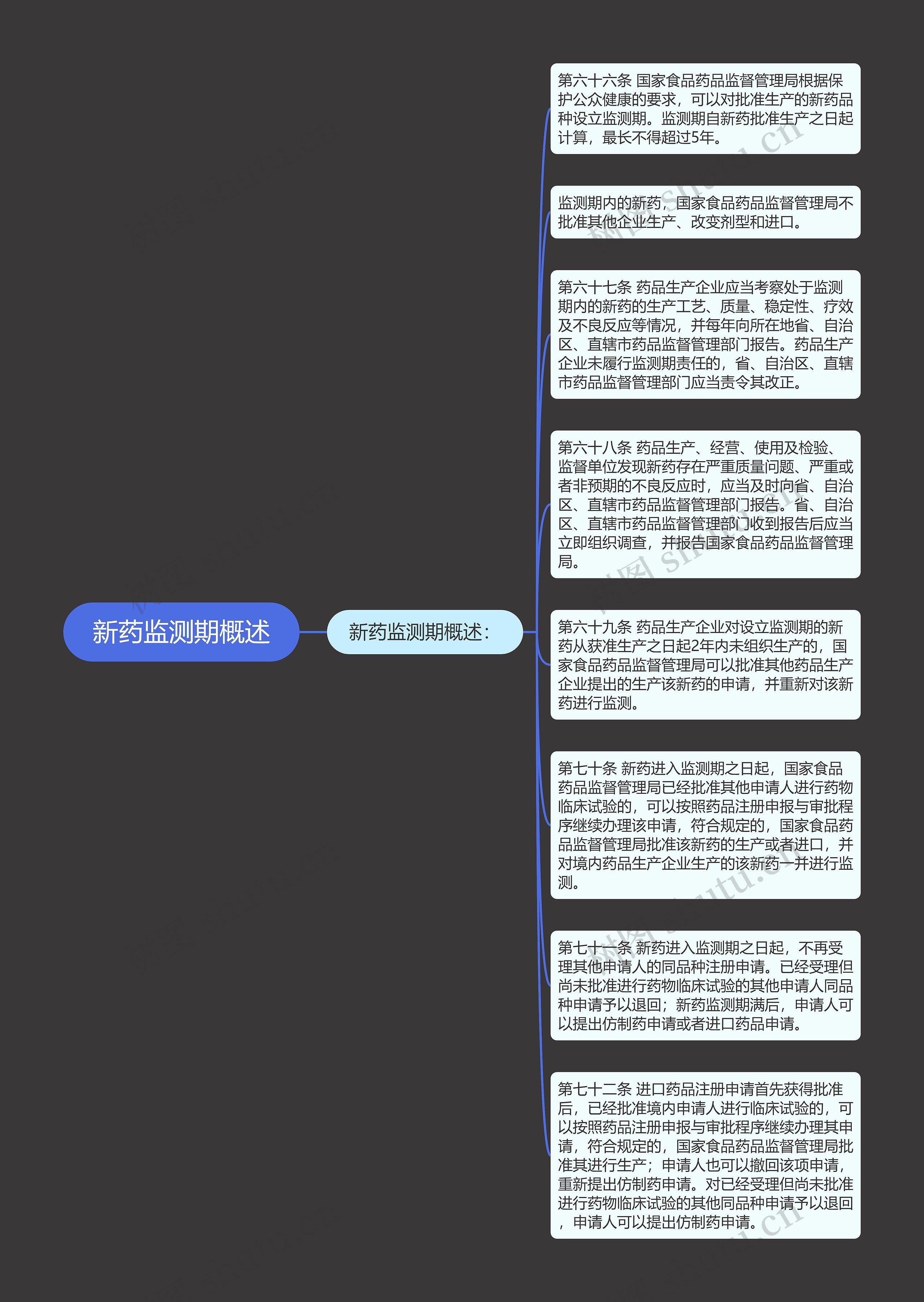 新药监测期概述思维导图