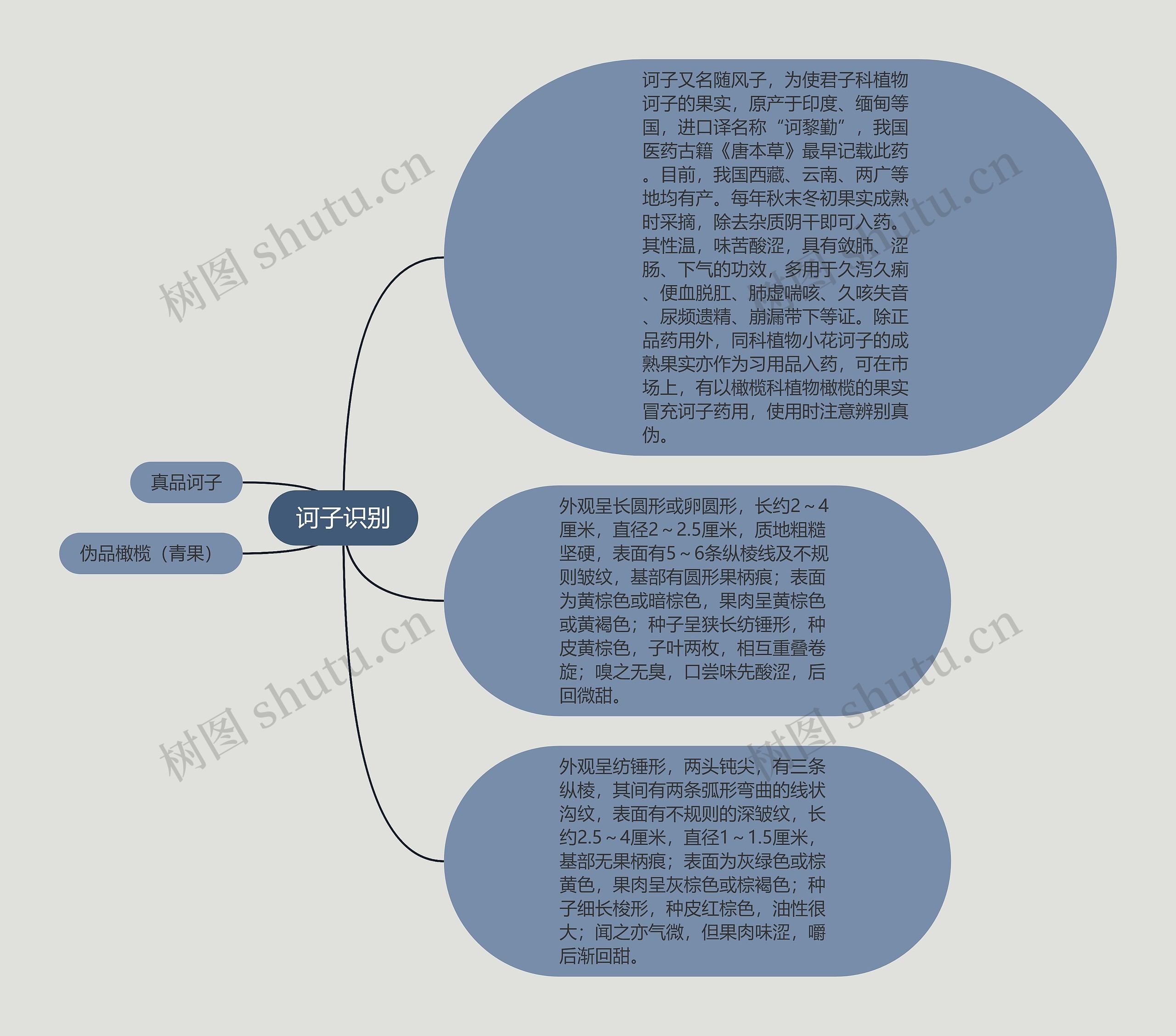 诃子识别思维导图